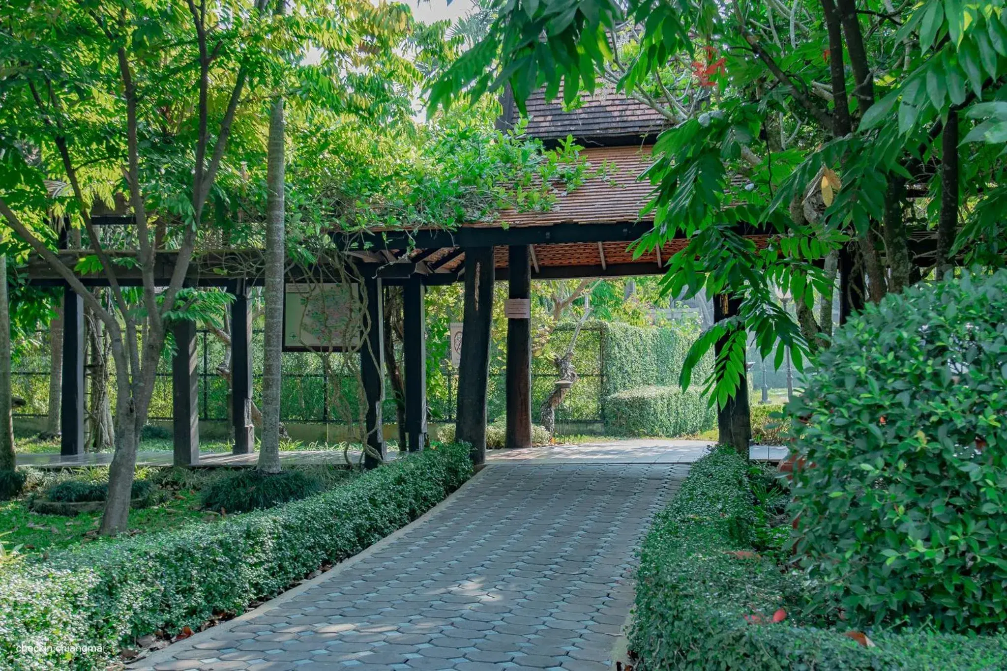 Natural landscape, Garden in Horizon Village & Resort SHA Plus