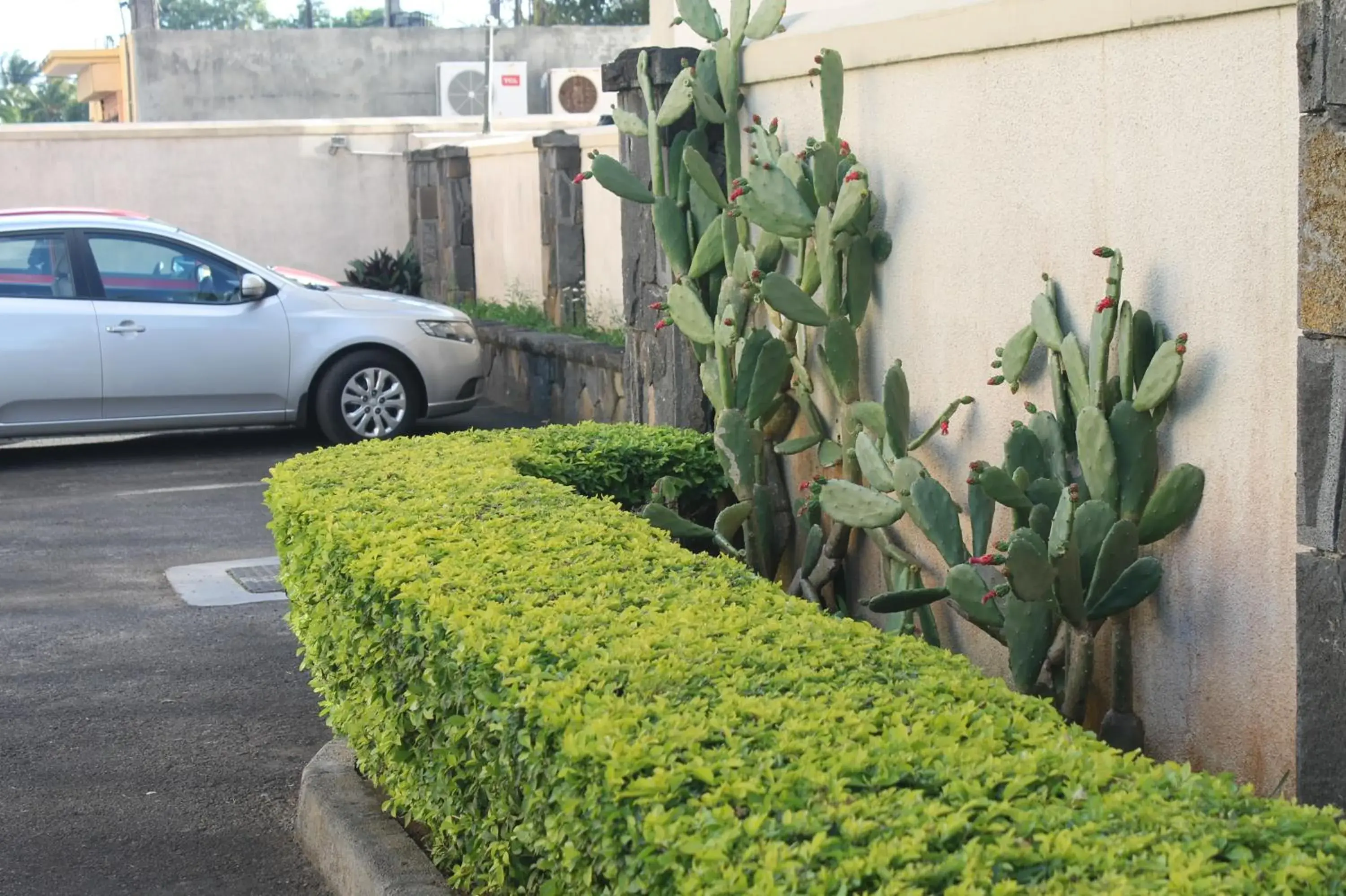 Area and facilities in Grand Baie Suites