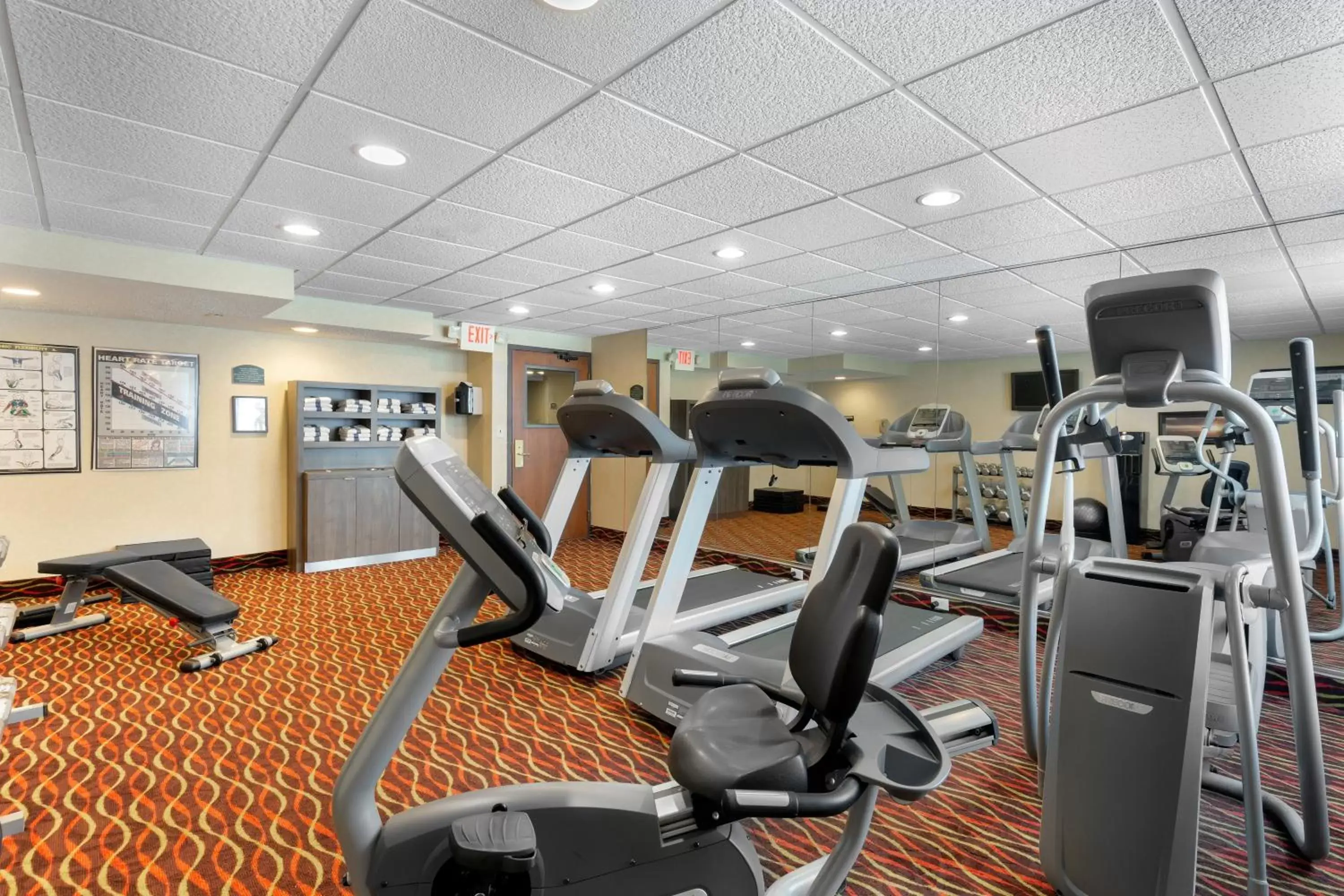 Spa and wellness centre/facilities, Fitness Center/Facilities in Holiday Inn Express Chicago-Downers Grove, an IHG Hotel