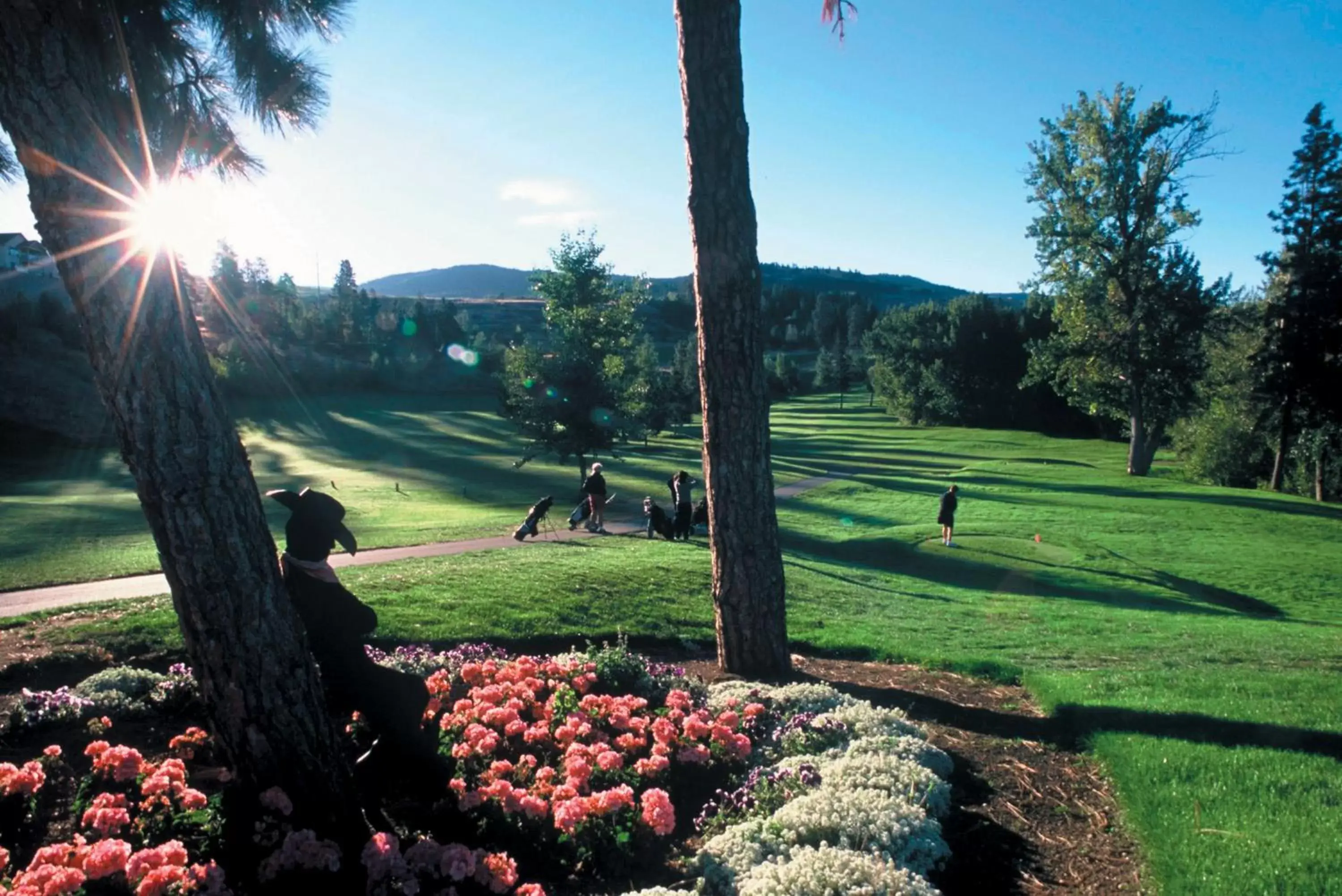 Golfcourse in Best Western Plus Kelowna Hotel & Suites