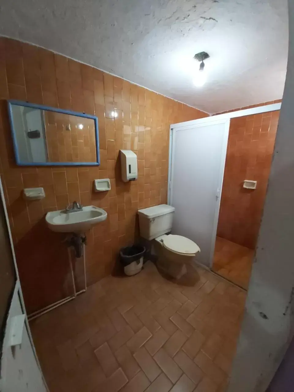 Toilet, Bathroom in Hotel Ayalamar Manzanillo