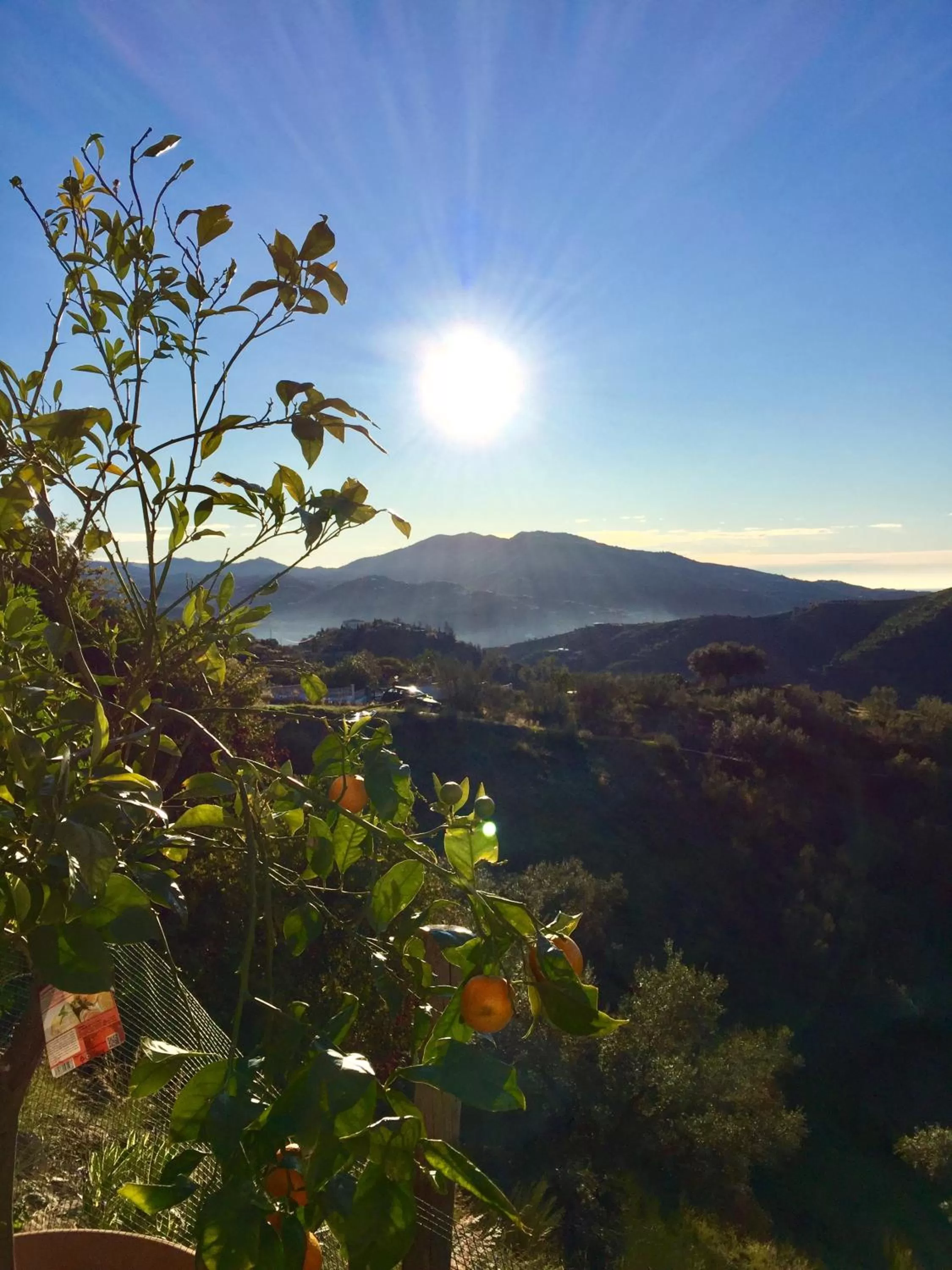 Mountain View in Casira, studios en kamers,Viñuela, Costa Del Sol