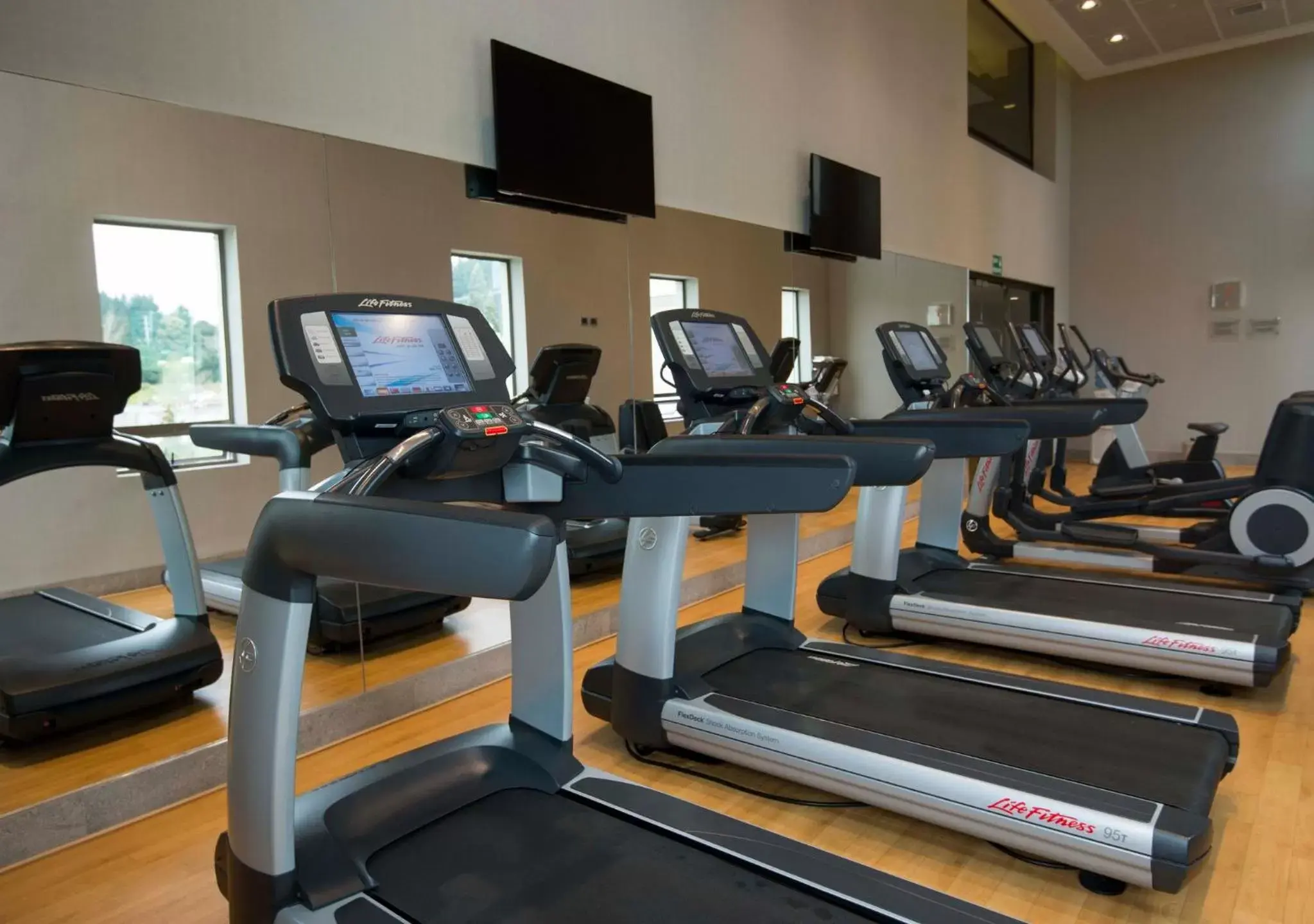 Fitness centre/facilities, Fitness Center/Facilities in Holiday Inn Express - Concepcion, an IHG Hotel