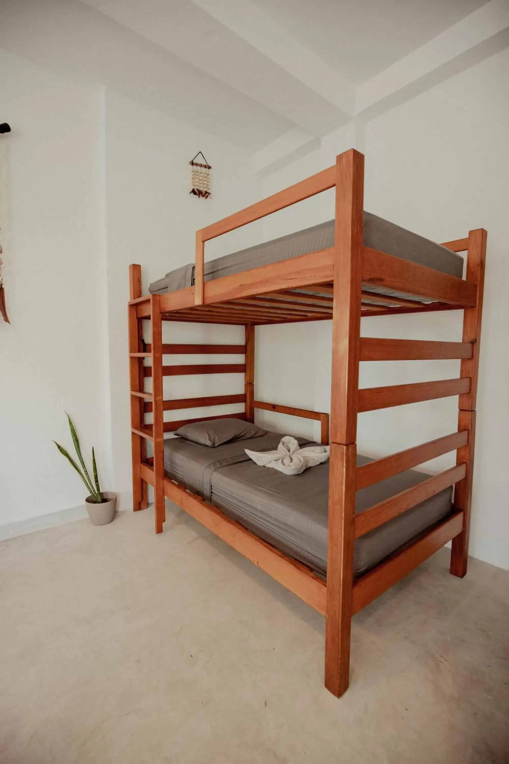 Bunk Bed in Hostal Del Jaguar