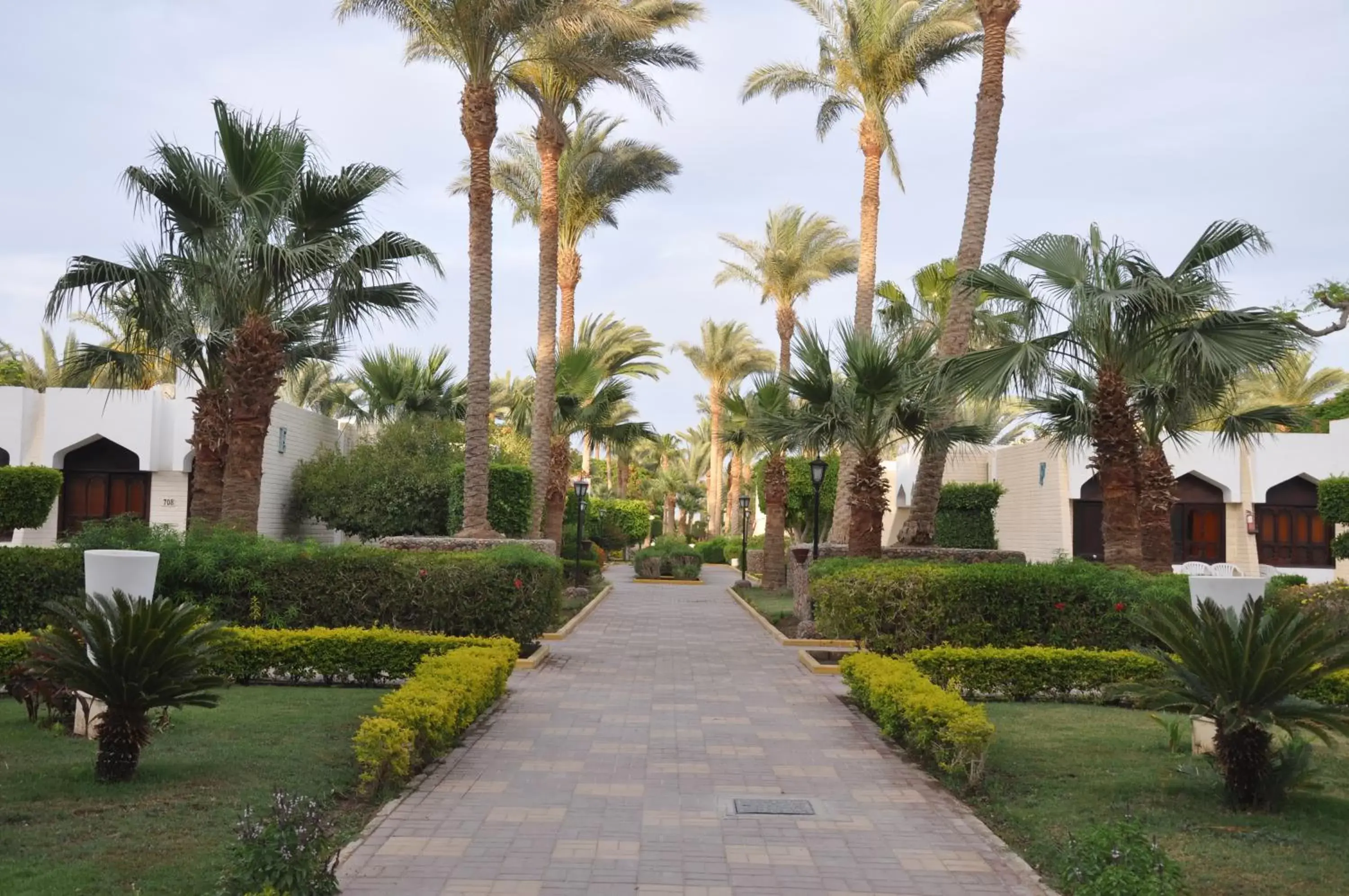 Garden in ZYA Regina Resort and Aqua Park Hurghada