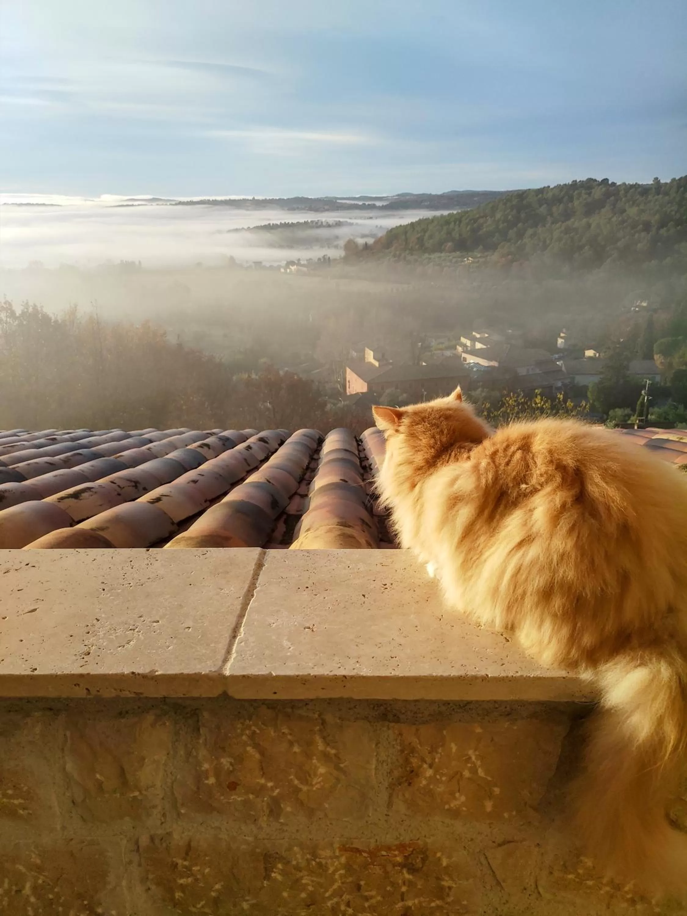 View (from property/room), Pets in Chambre d'hôtes Cottes