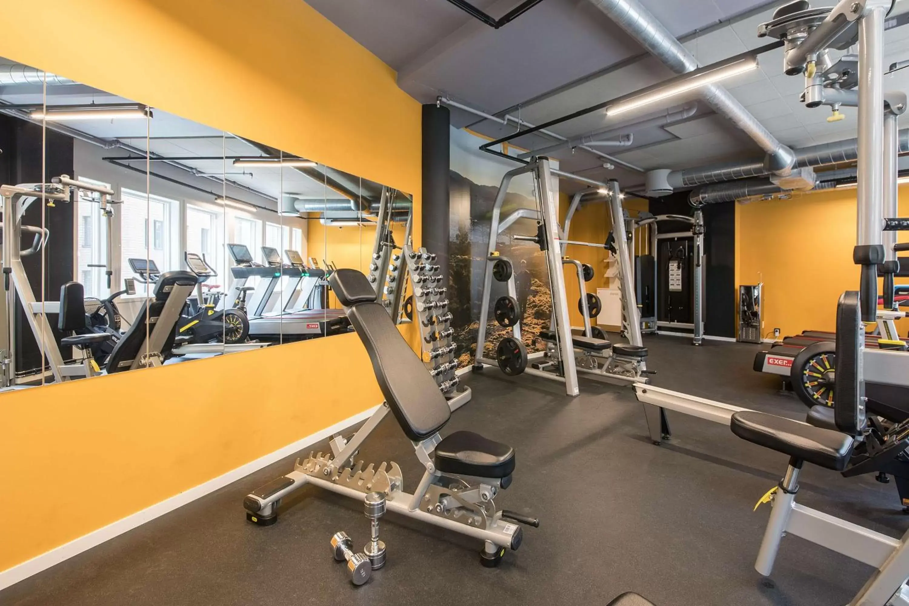 Activities, Fitness Center/Facilities in Scandic Sjølyst