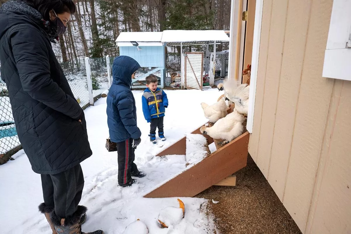 Winter in Arcady Mountain Motor Lodge