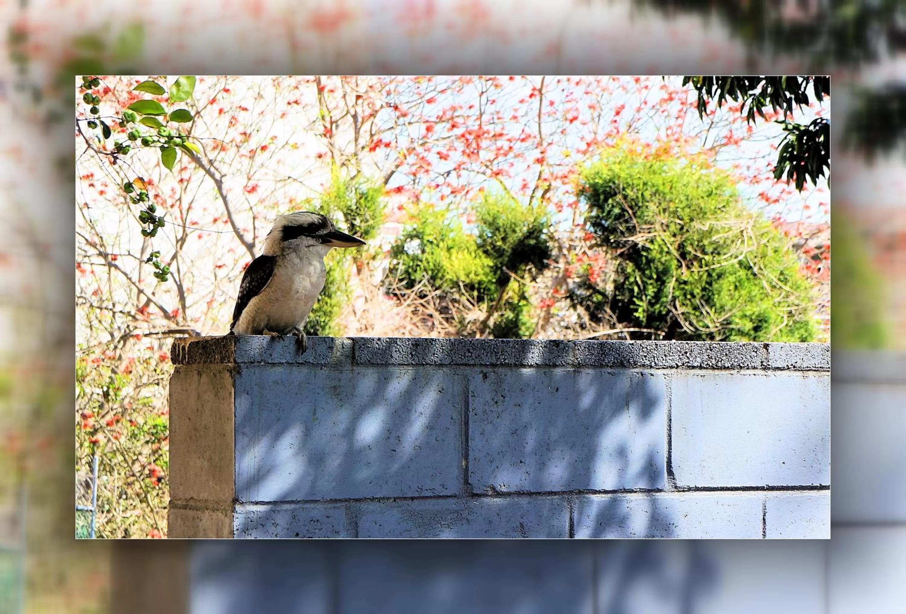 Other in Panorama Motor Inn