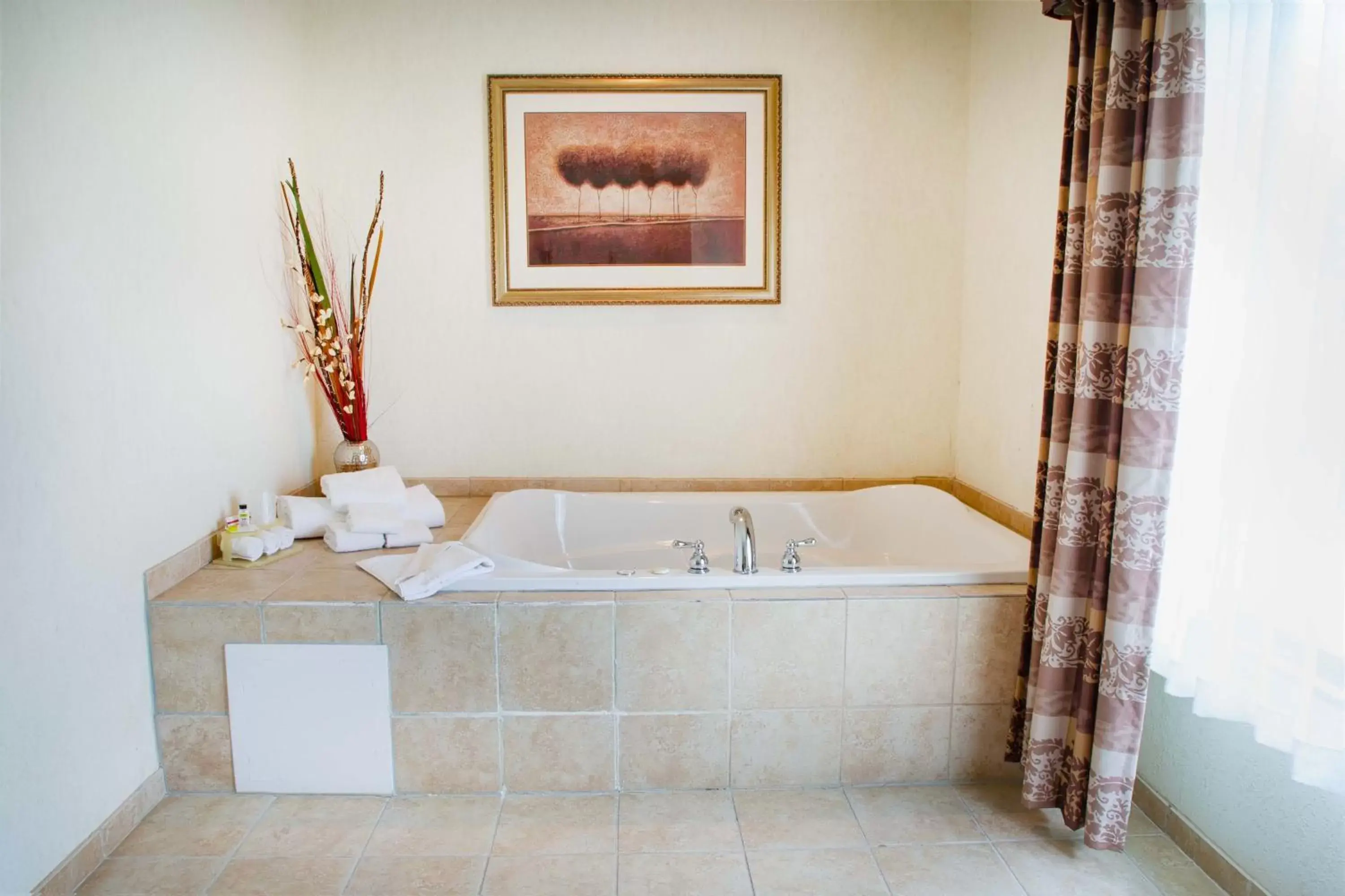 Photo of the whole room, Bathroom in Holiday Inn Express Hotel & Suites Center, an IHG Hotel