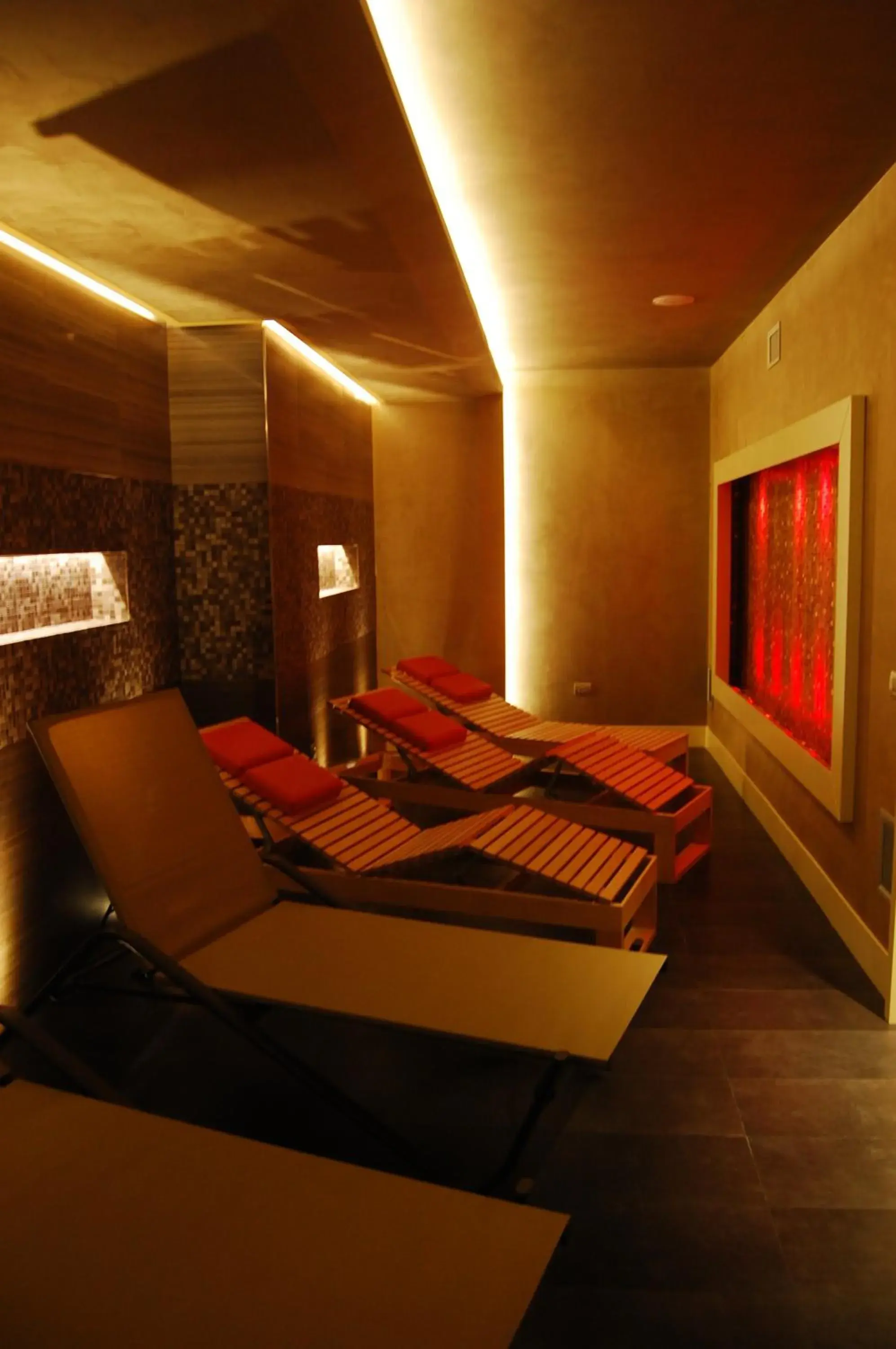 Spa and wellness centre/facilities in Janus Hotel