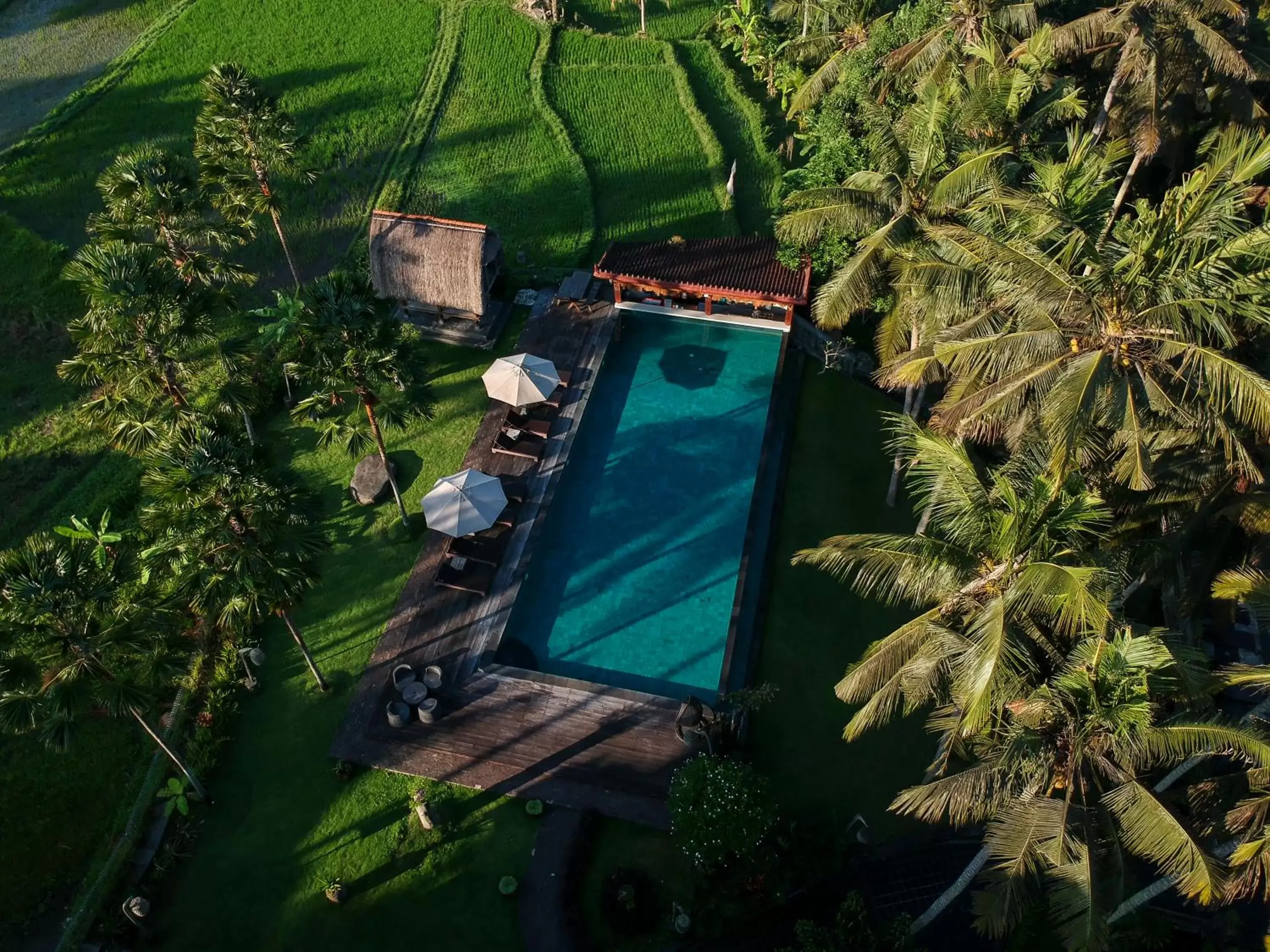 Swimming pool, Pool View in The Artini Dijiwa Ubud