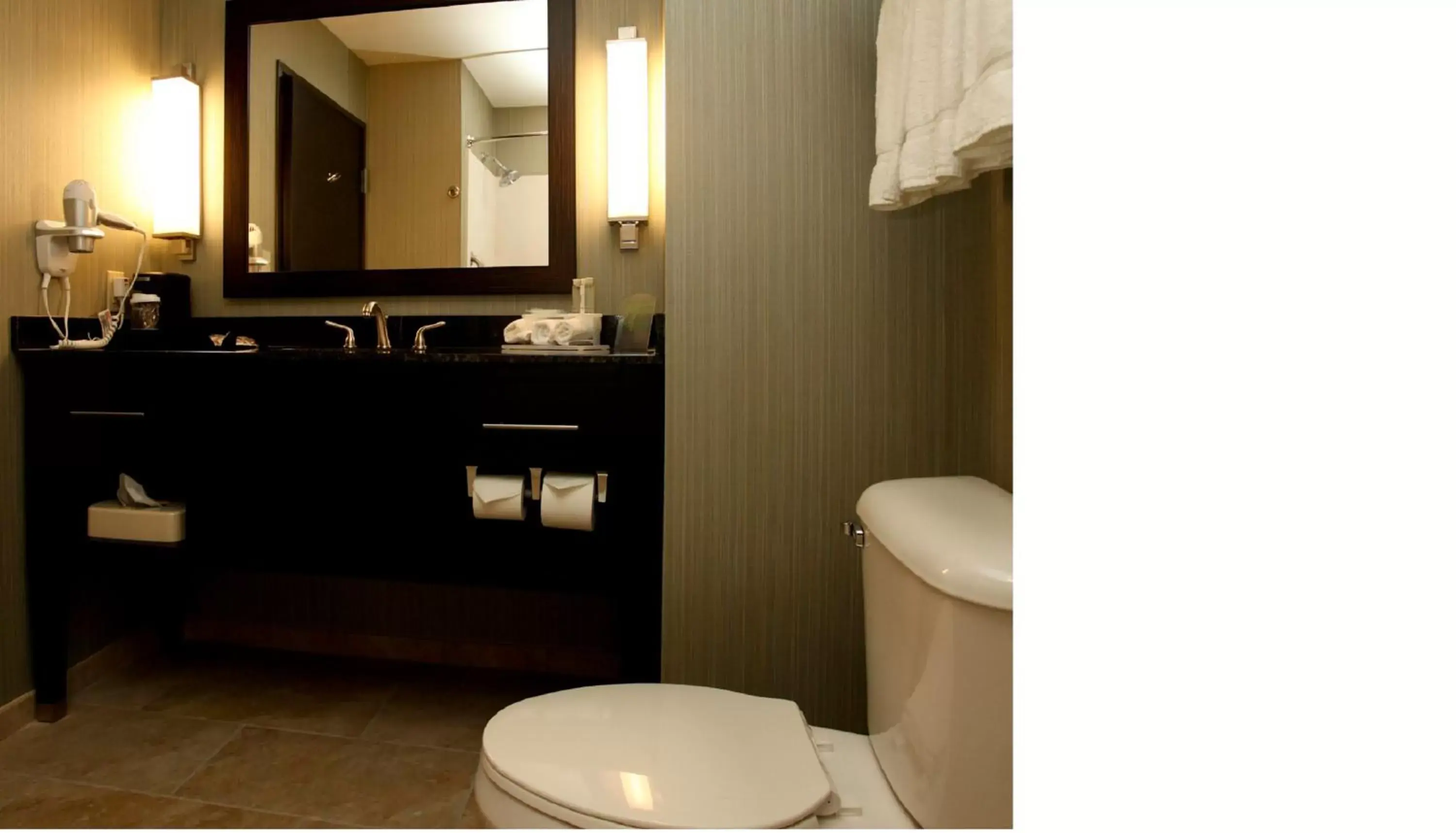 Bathroom in Holiday Inn Express & Suites Marion Northeast, an IHG Hotel