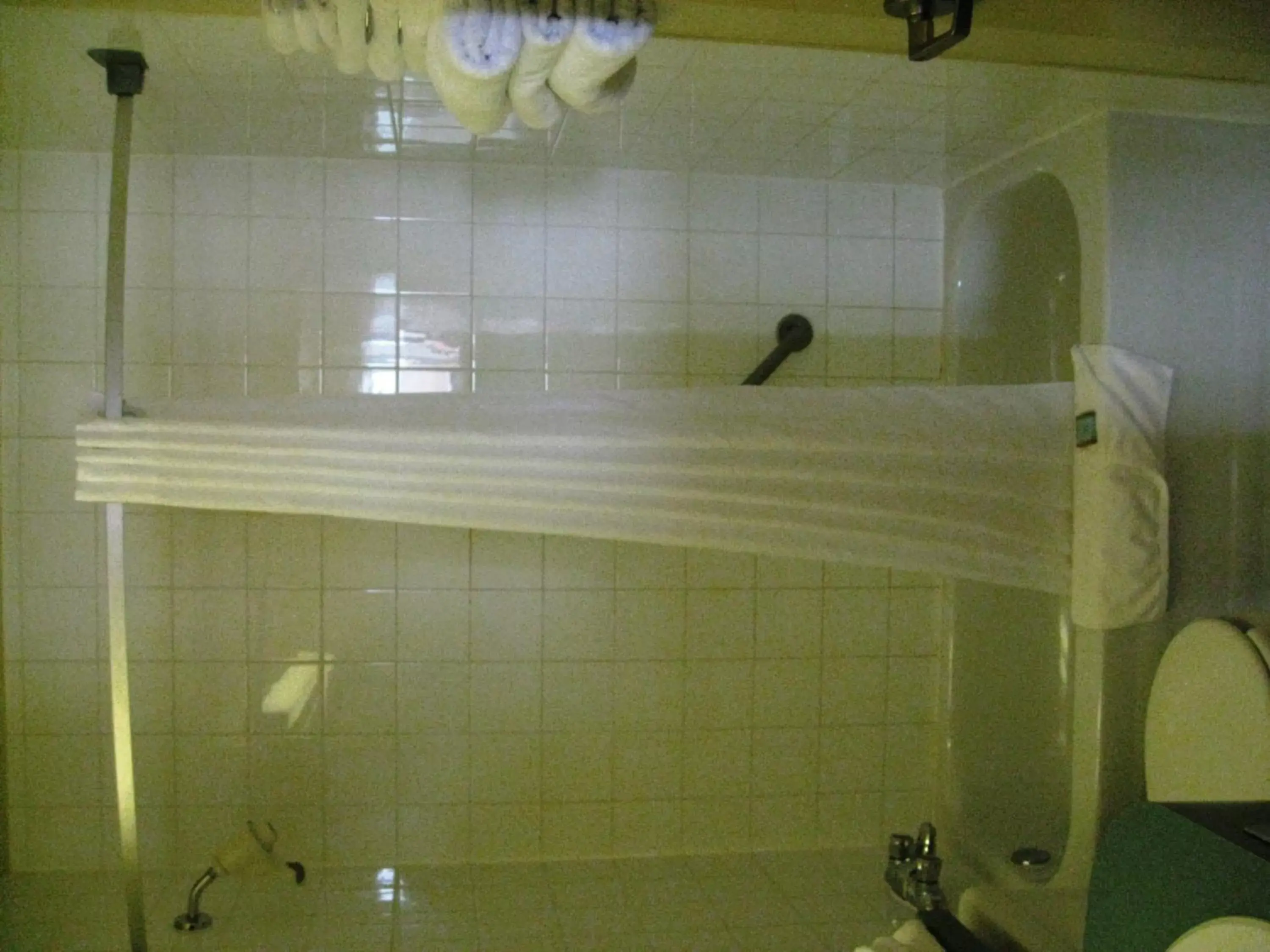 Shower, Bathroom in Travelodge by Wyndham Drumheller AB