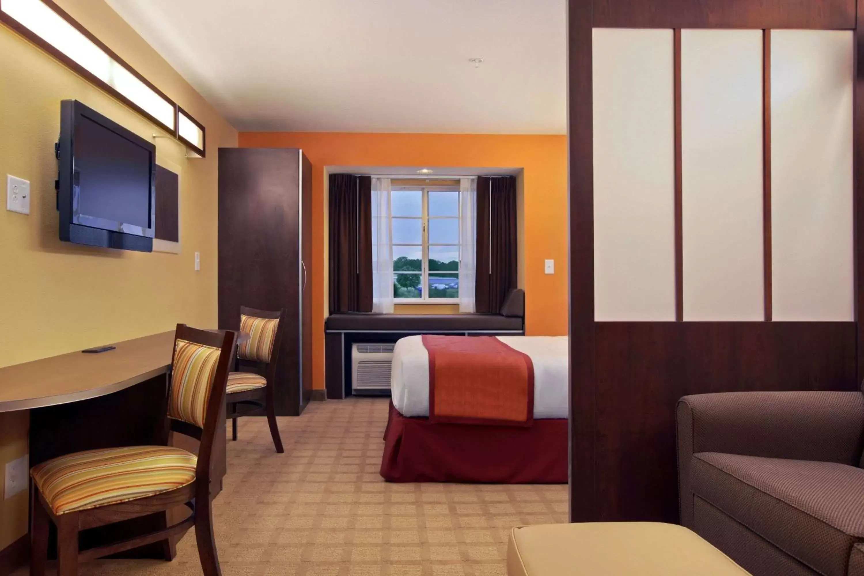 Queen Studio Suite - Non-Smoking in Microtel Inn and Suites by Wyndham Anderson SC