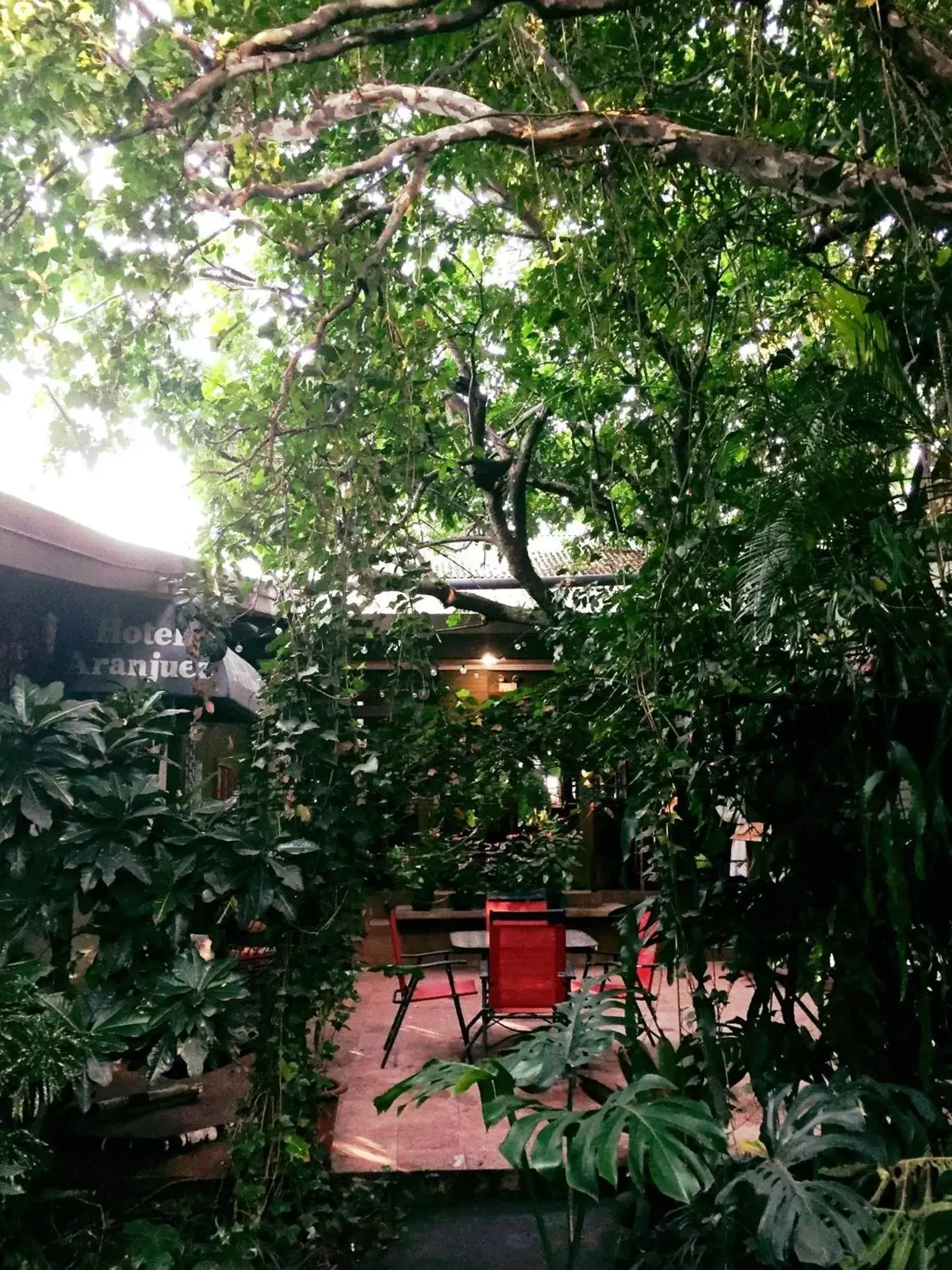 Garden in Hotel Aranjuez