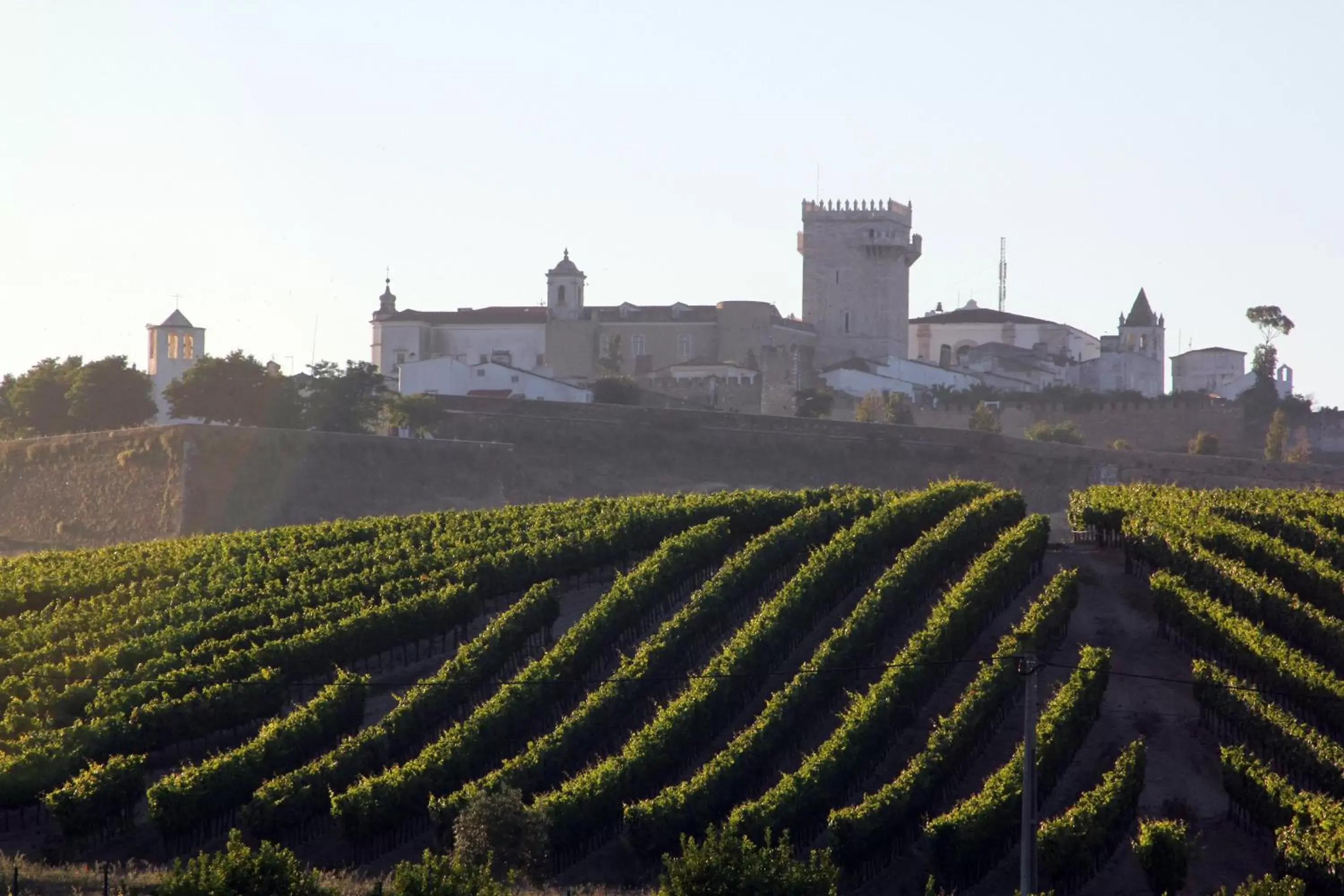 Nearby landmark in Pateo dos Solares Charm Hotel