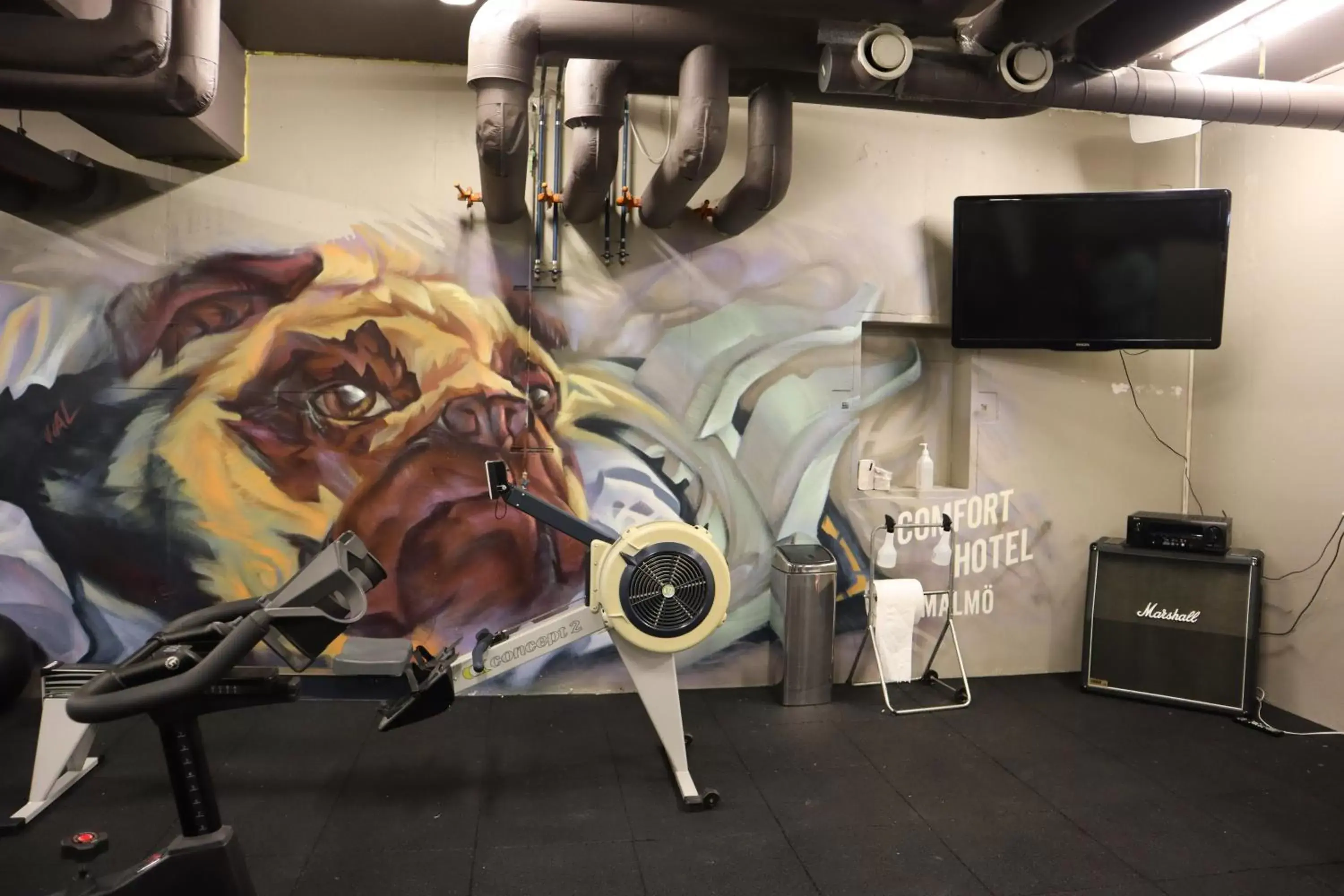 Fitness centre/facilities in Comfort Hotel Malmö Fitness centre/facilities in Comfort Hotel Malmö