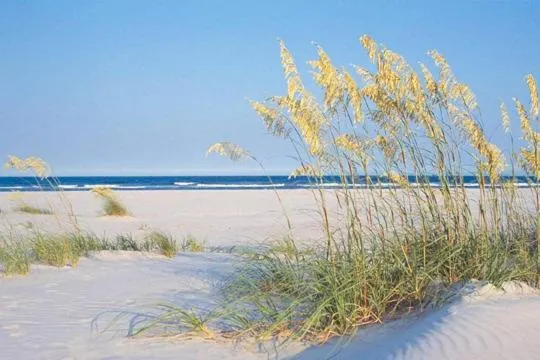 Beach in Shell Island Resort - All Oceanfront Suites