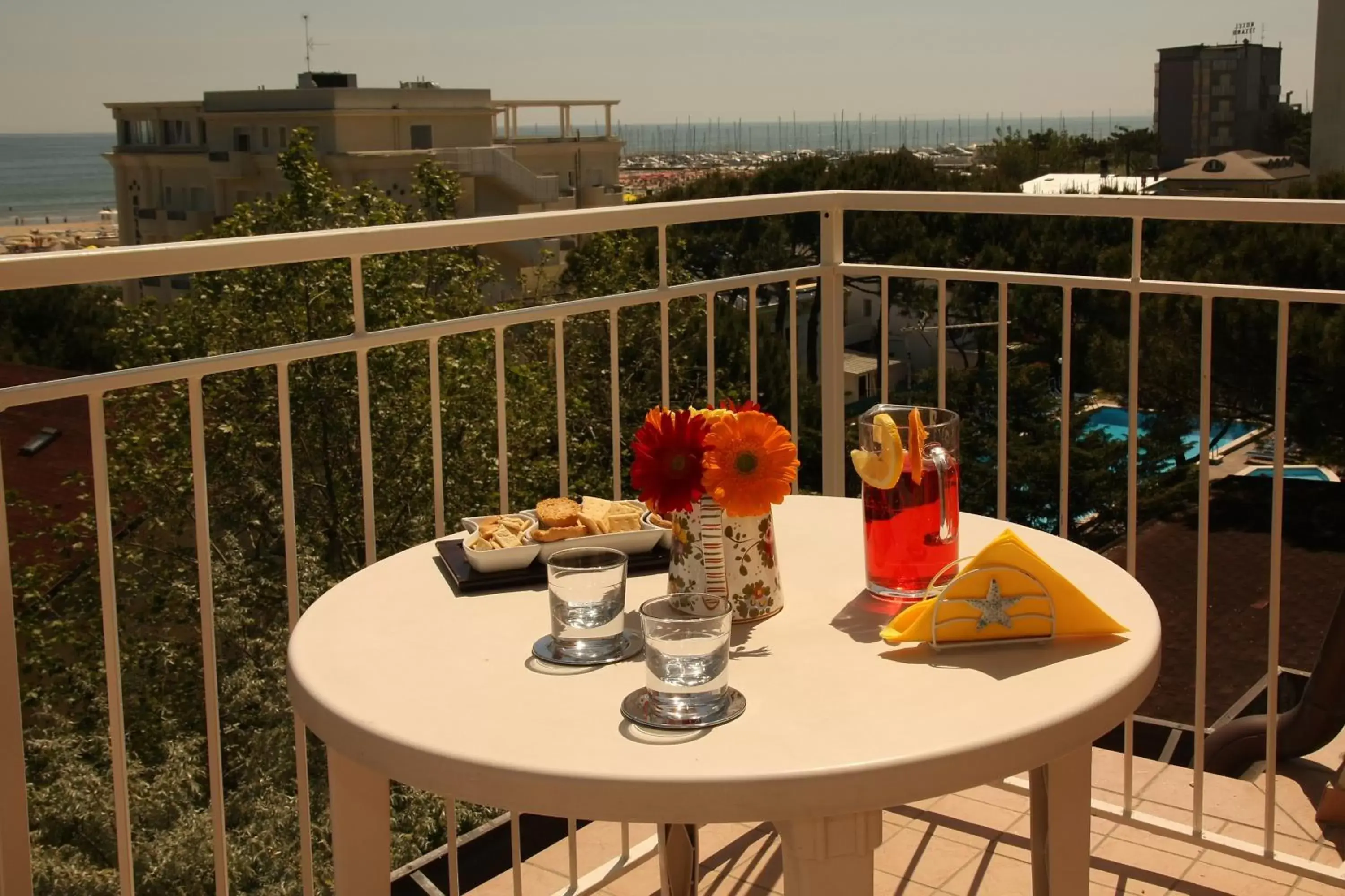 Balcony/Terrace in Hotel Santiago