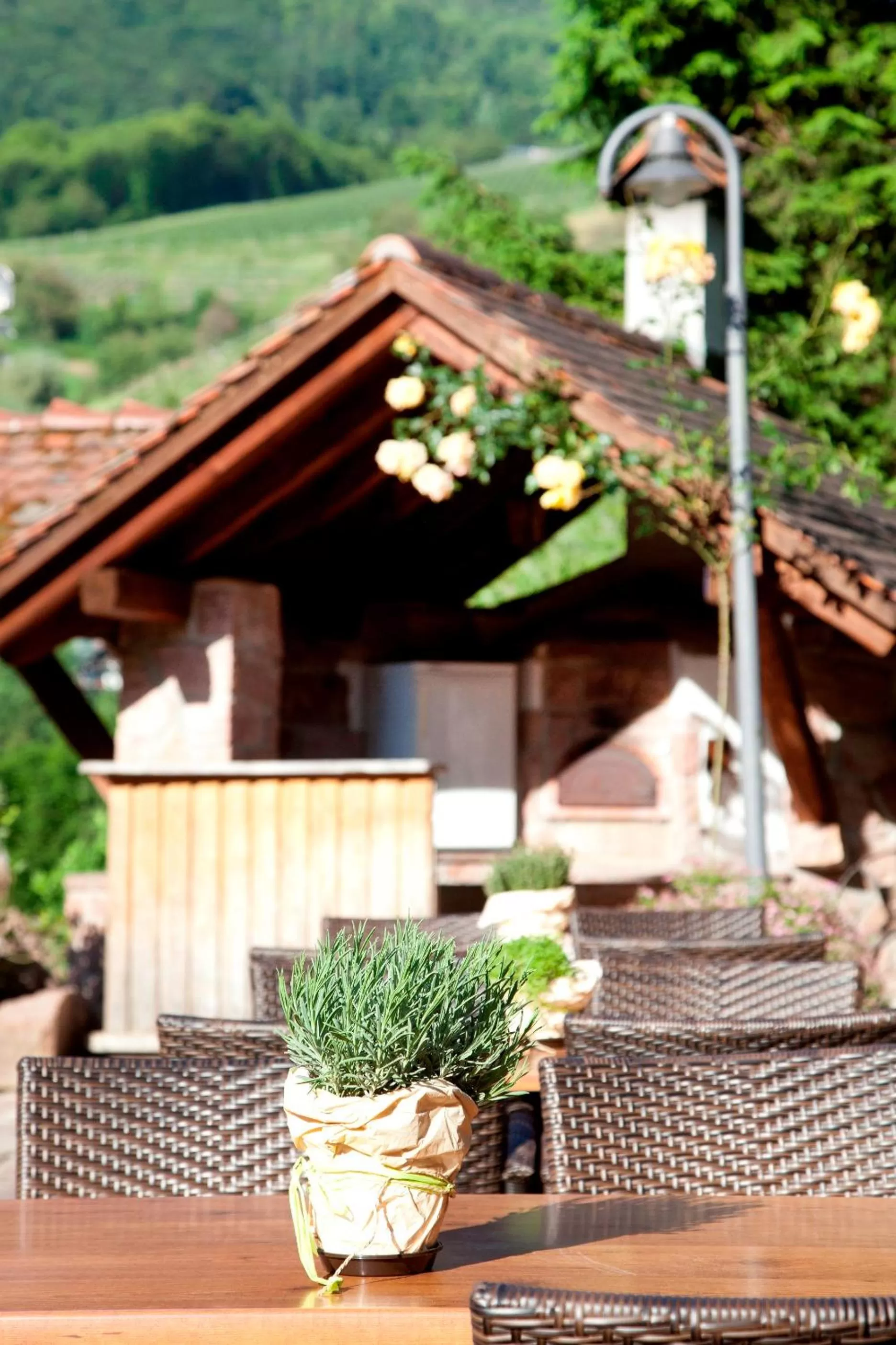 Day in Naturhotel Holzwurm