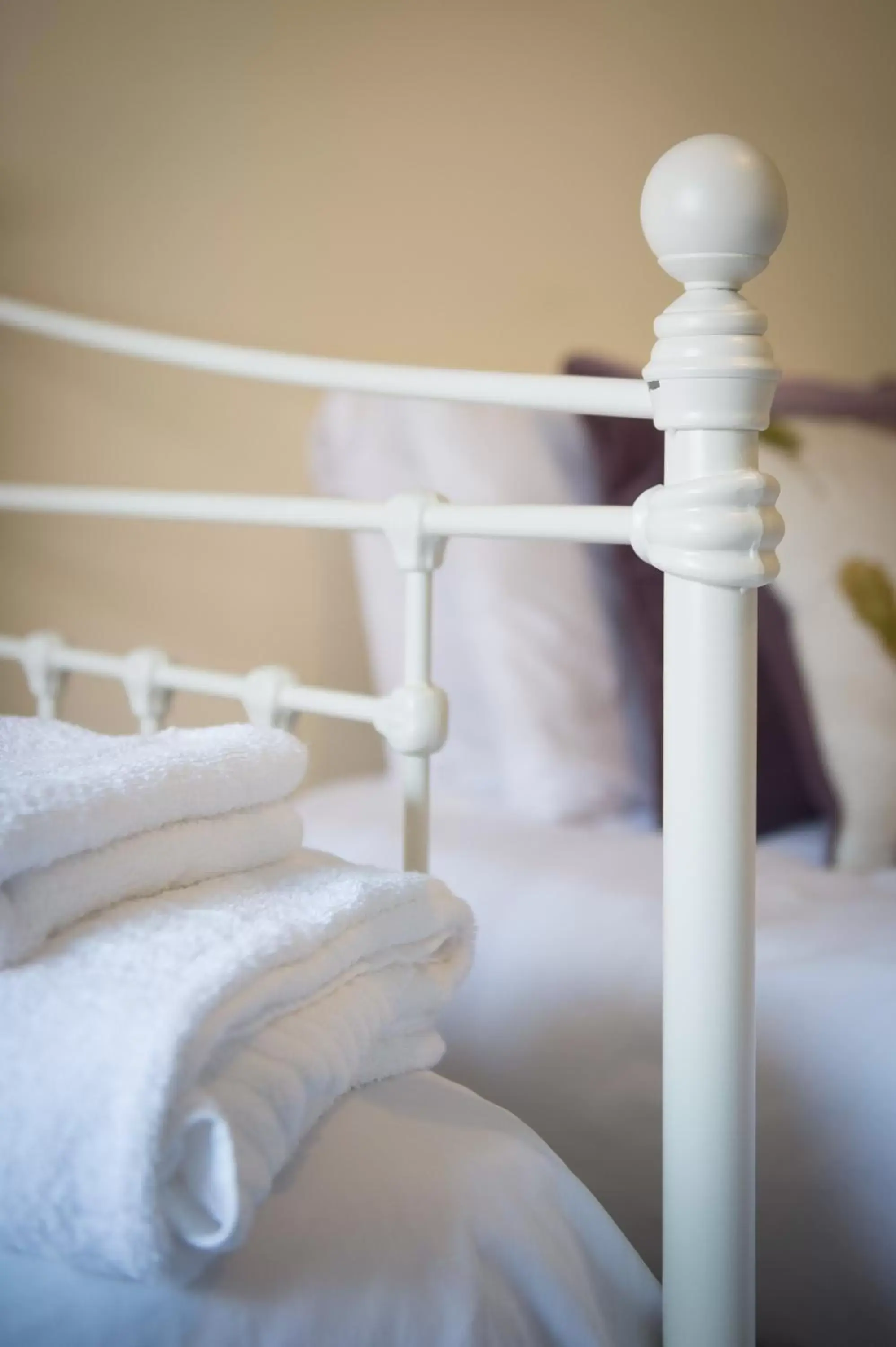 Decorative detail, Bed in Darwin's Townhouse