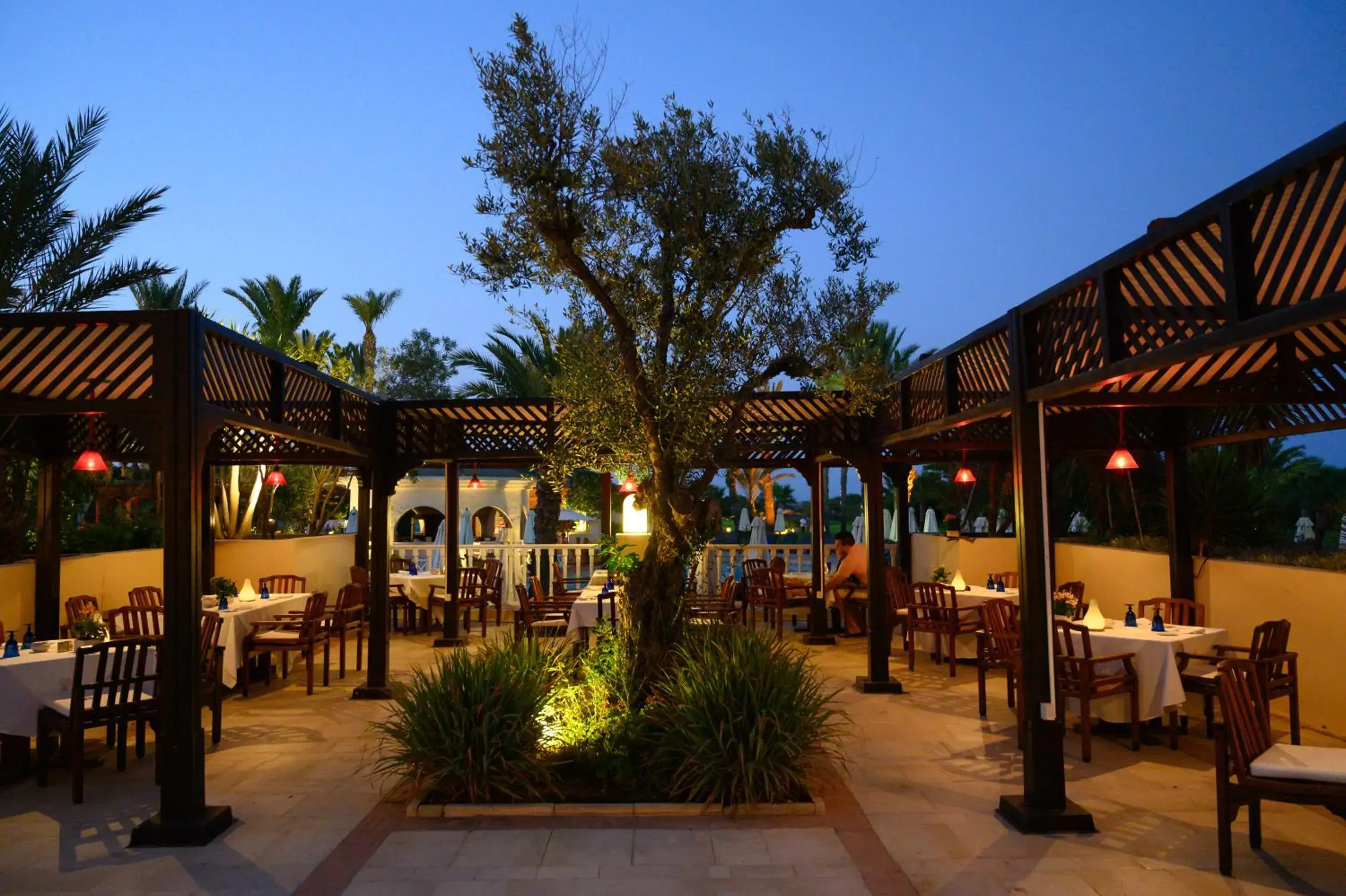 Patio, Restaurant/Places to Eat in The Residence Tunis