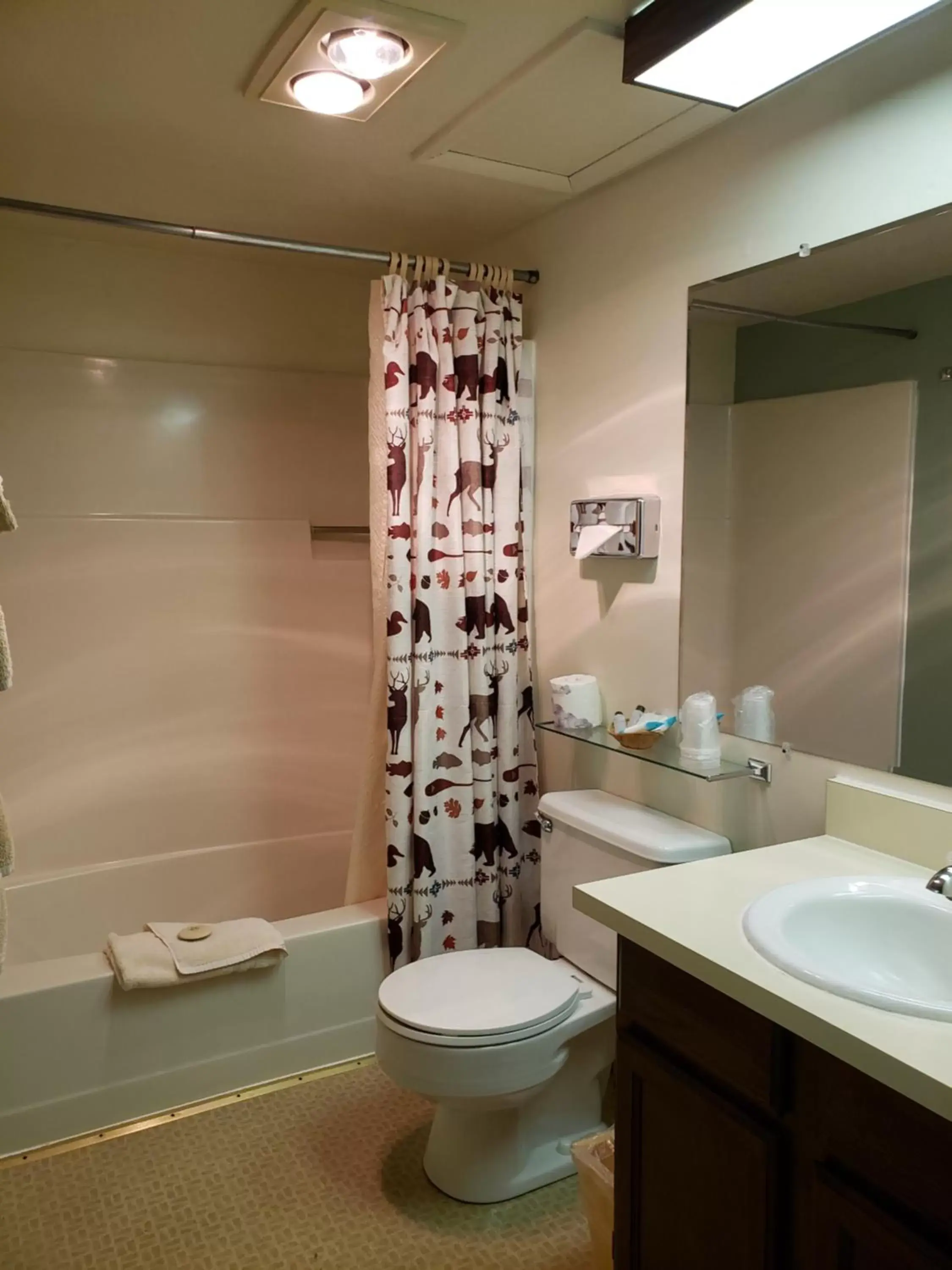 Bathroom in Flaming Gorge Resort