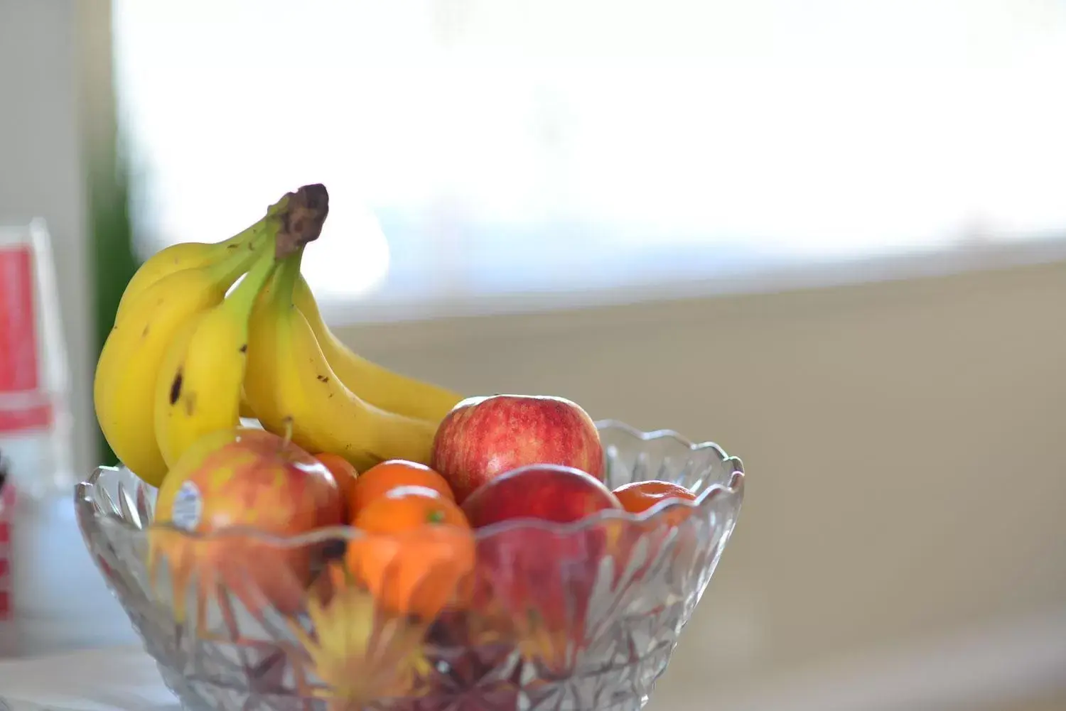 Food in Regency Inn & Suites Sarasota Food in Regency Inn & Suites Sarasota