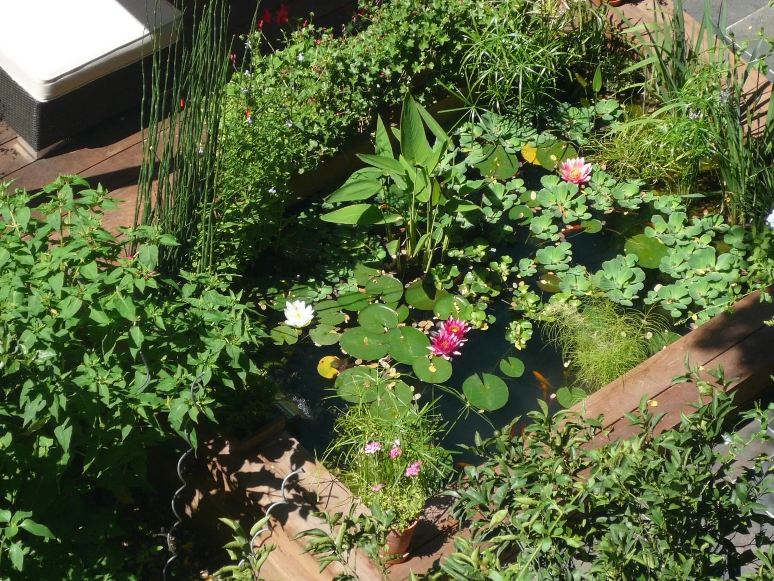 Patio, Garden in Hotel des Arceaux