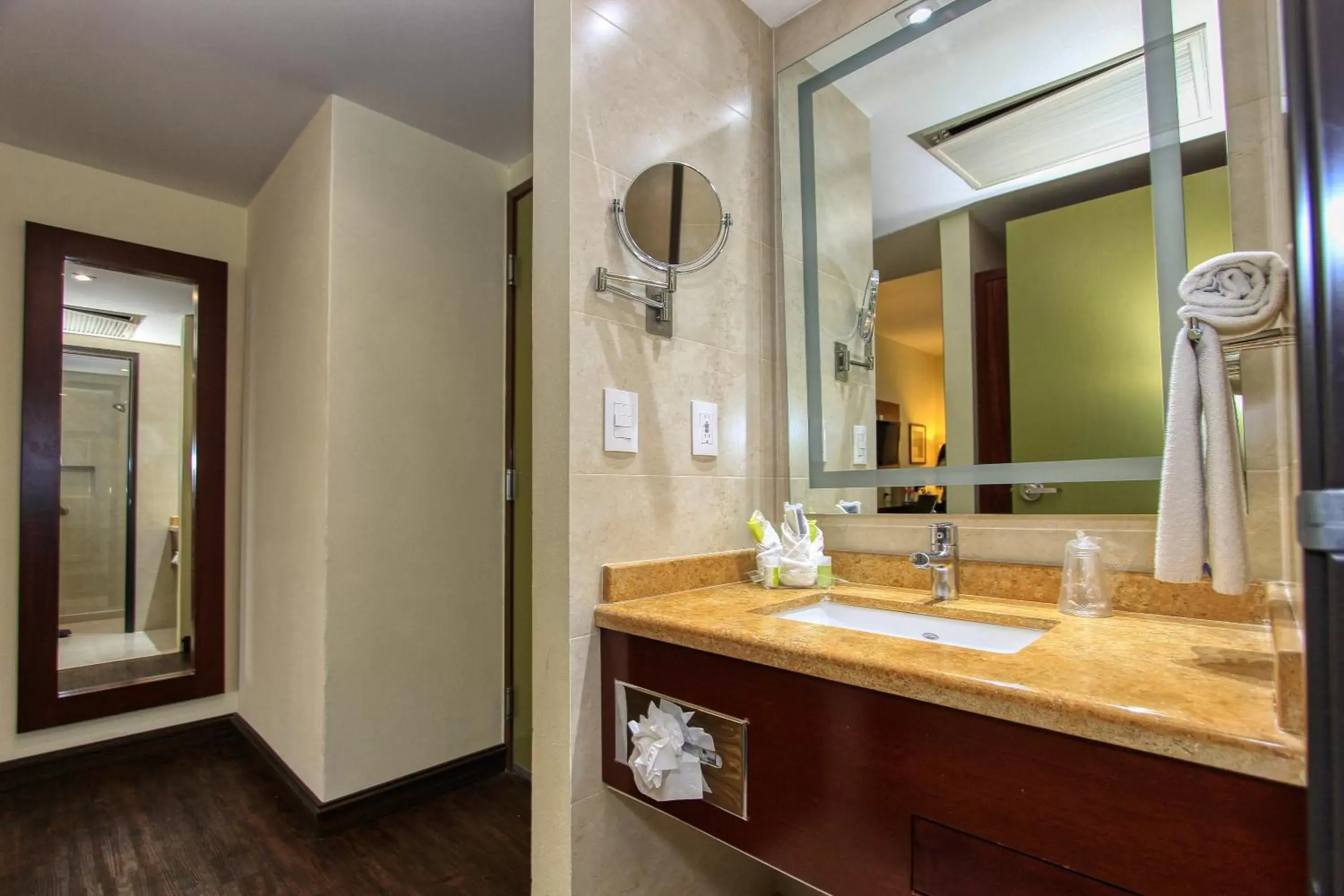 Bathroom in Holiday Inn Leon, an IHG Hotel