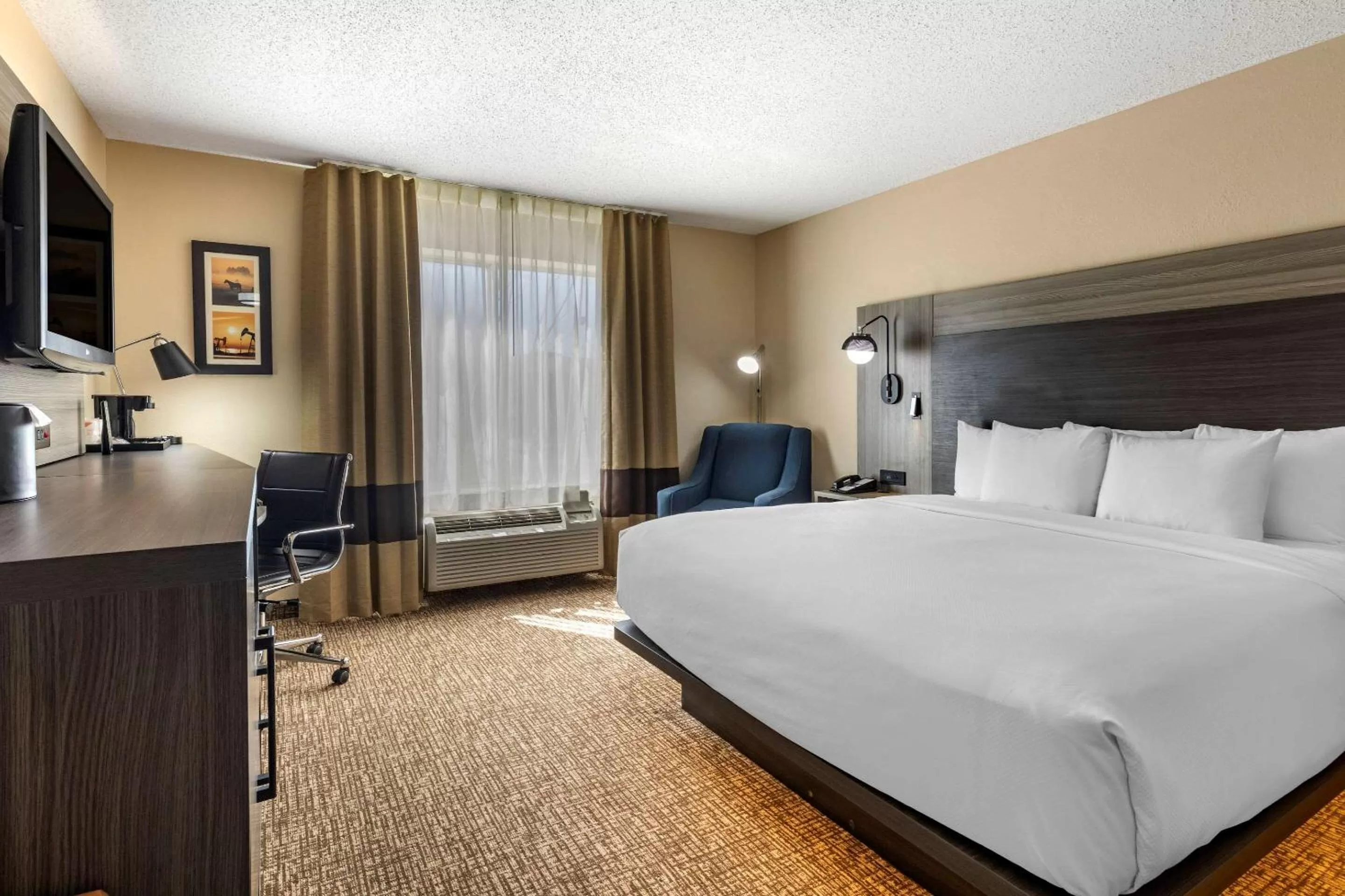King Room with Roll-In Shower - Accessible/Non-Smoking in Comfort Inn & Suites North Dallas-Addison