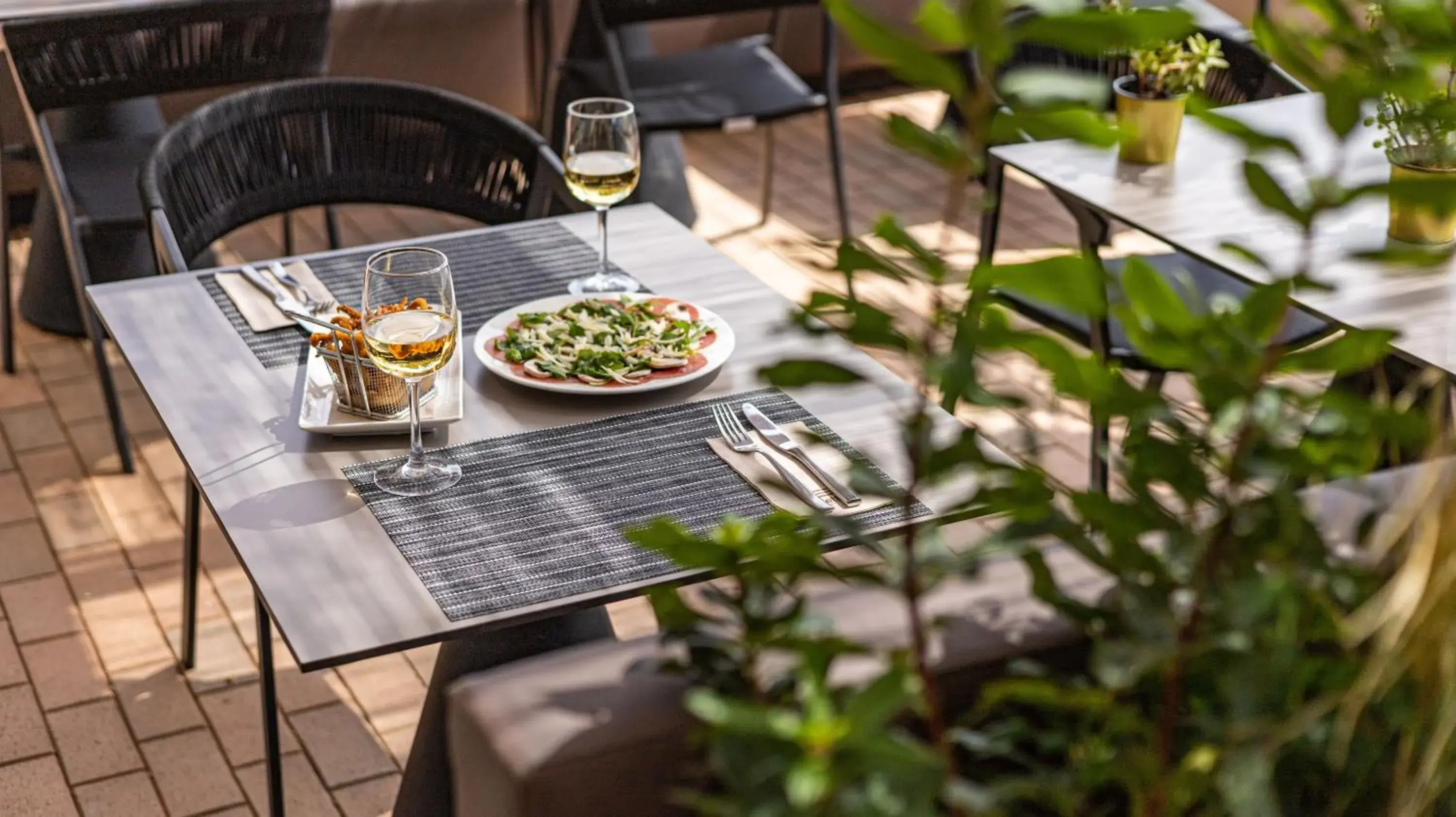 Lounge or bar in Seth Port Ciutadella Lounge or bar in Seth Port Ciutadella