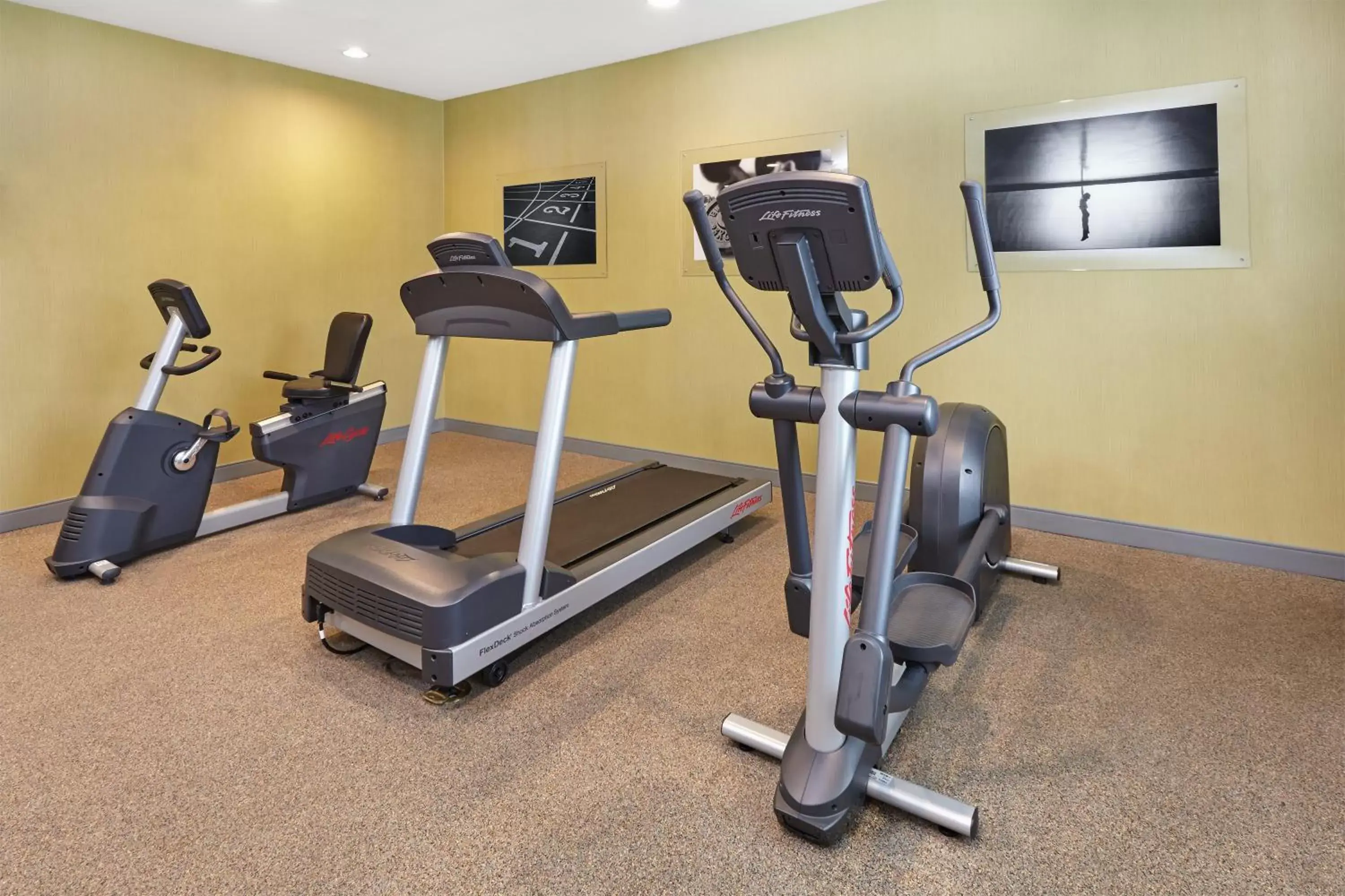 Fitness centre/facilities, Fitness Center/Facilities in Holiday Inn Express & Suites Chicago-Libertyville, an IHG Hotel