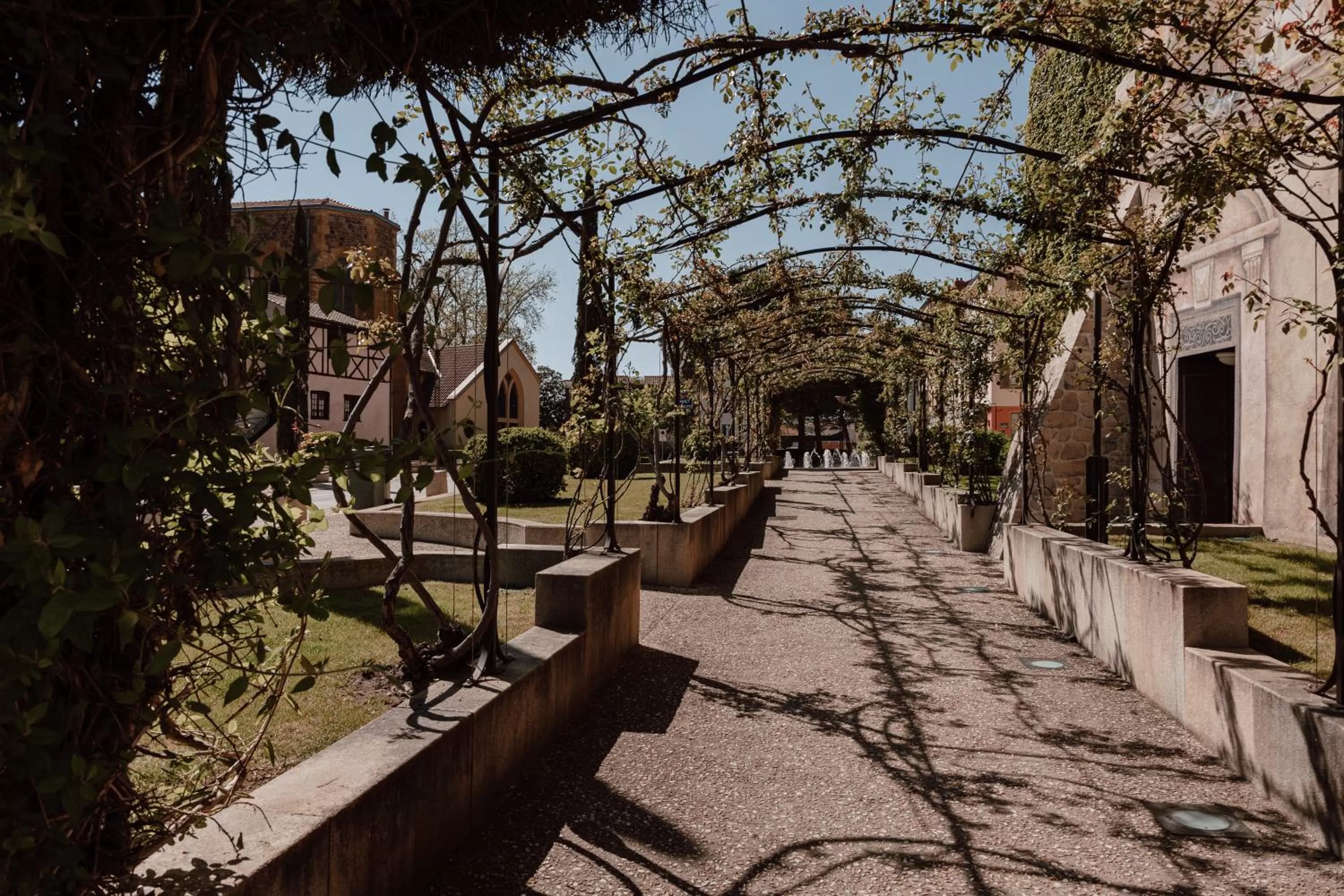 Mage hôtels - Hôtel la grenette - Brasserie Bonté Divine