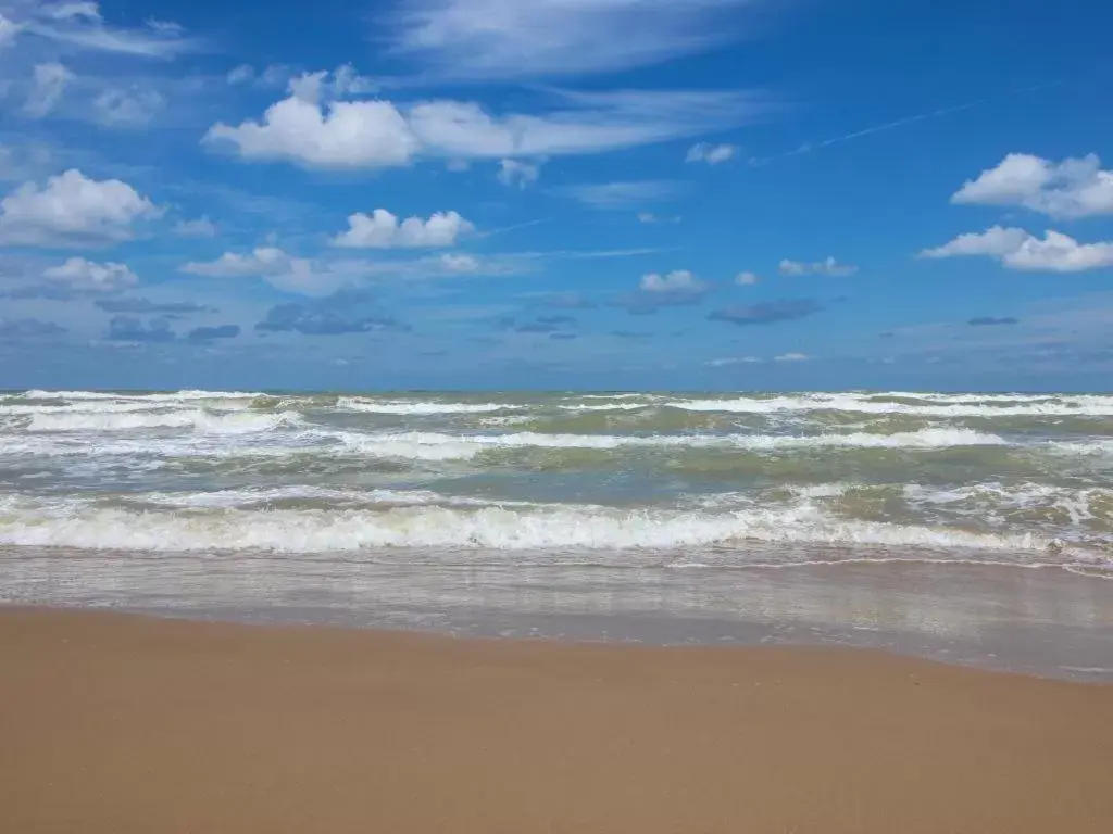 Beach in La Internacional Condominiums #210