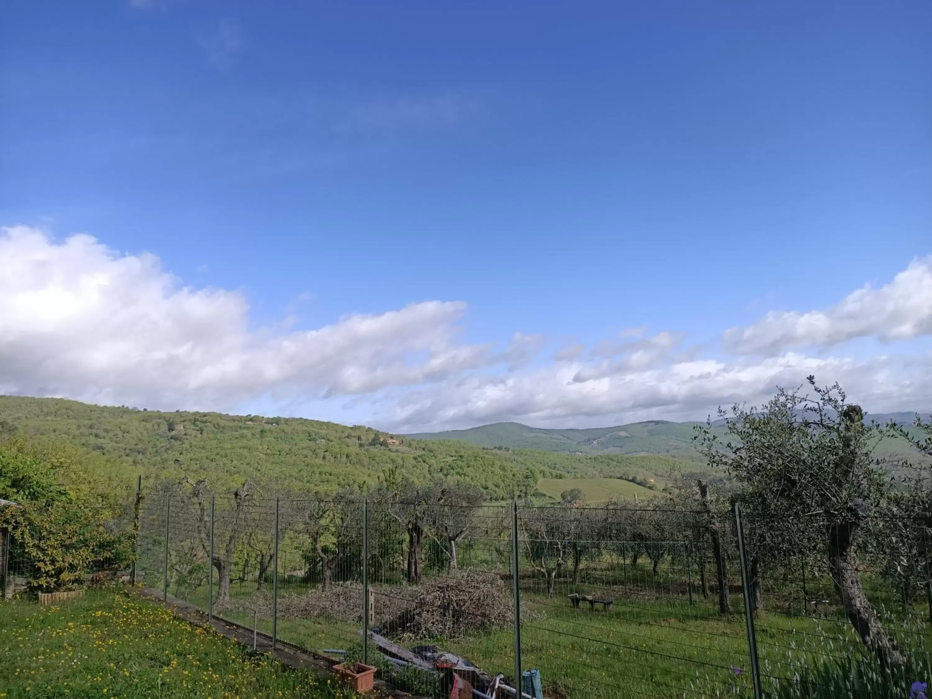 Natural landscape in B&B Un posto nel mondo