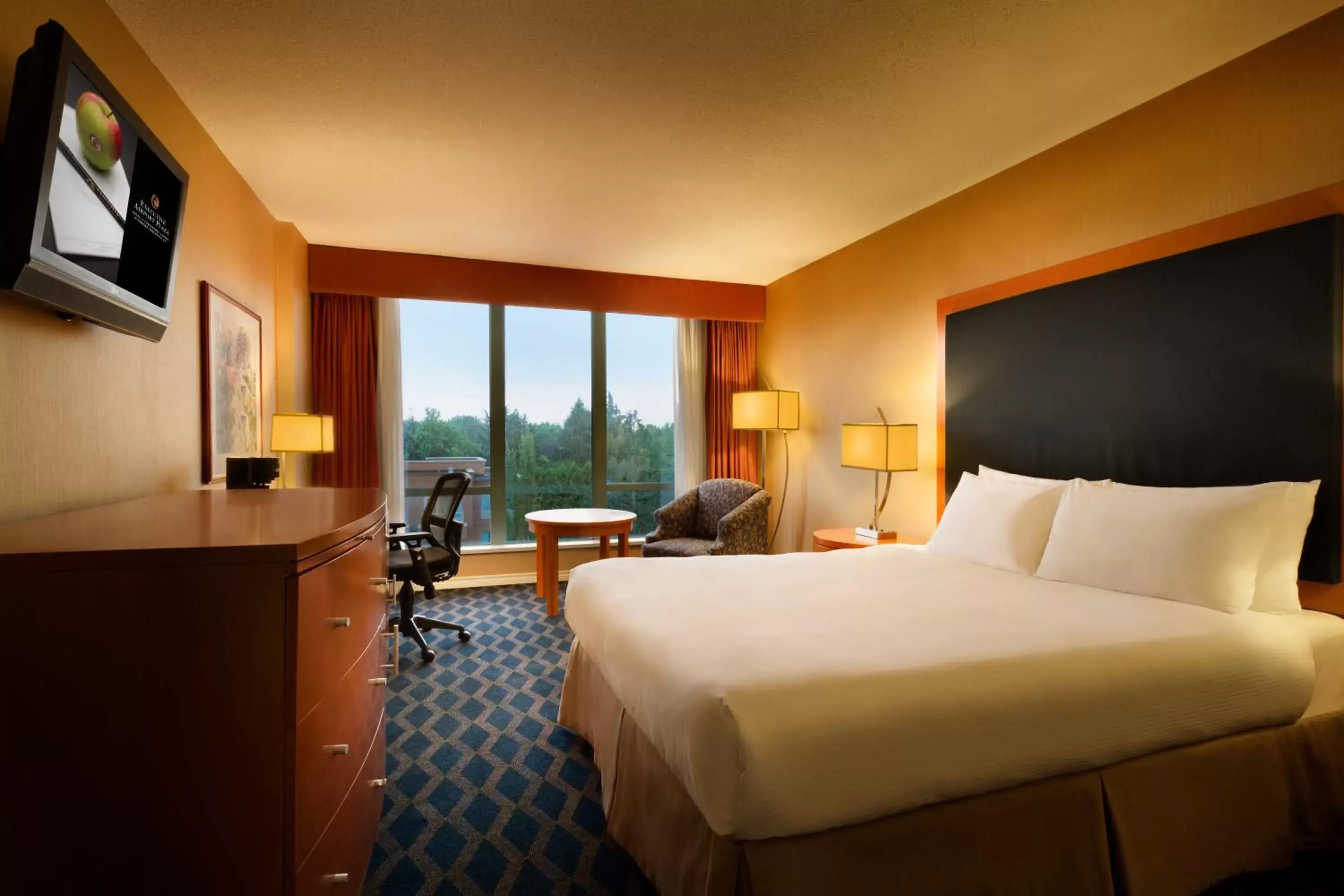 Executive Hotel Vancouver Airport