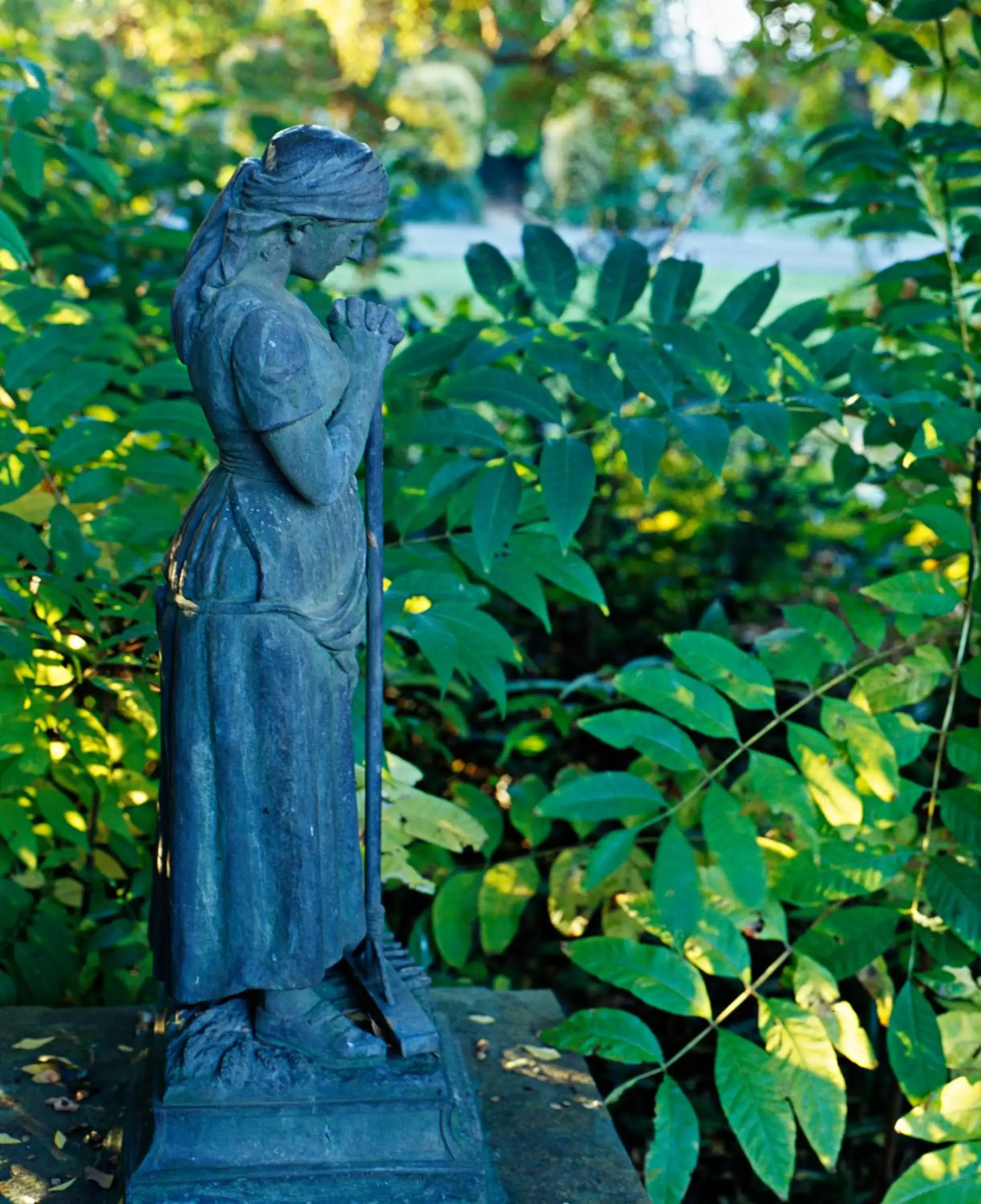 Garden in Chateau Yering Hotel