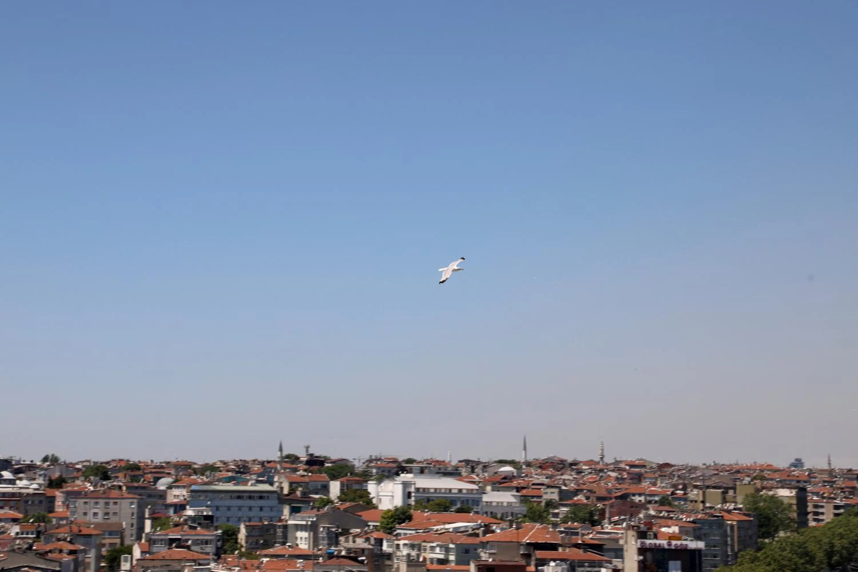 Day in Istanbul Royal Hotel