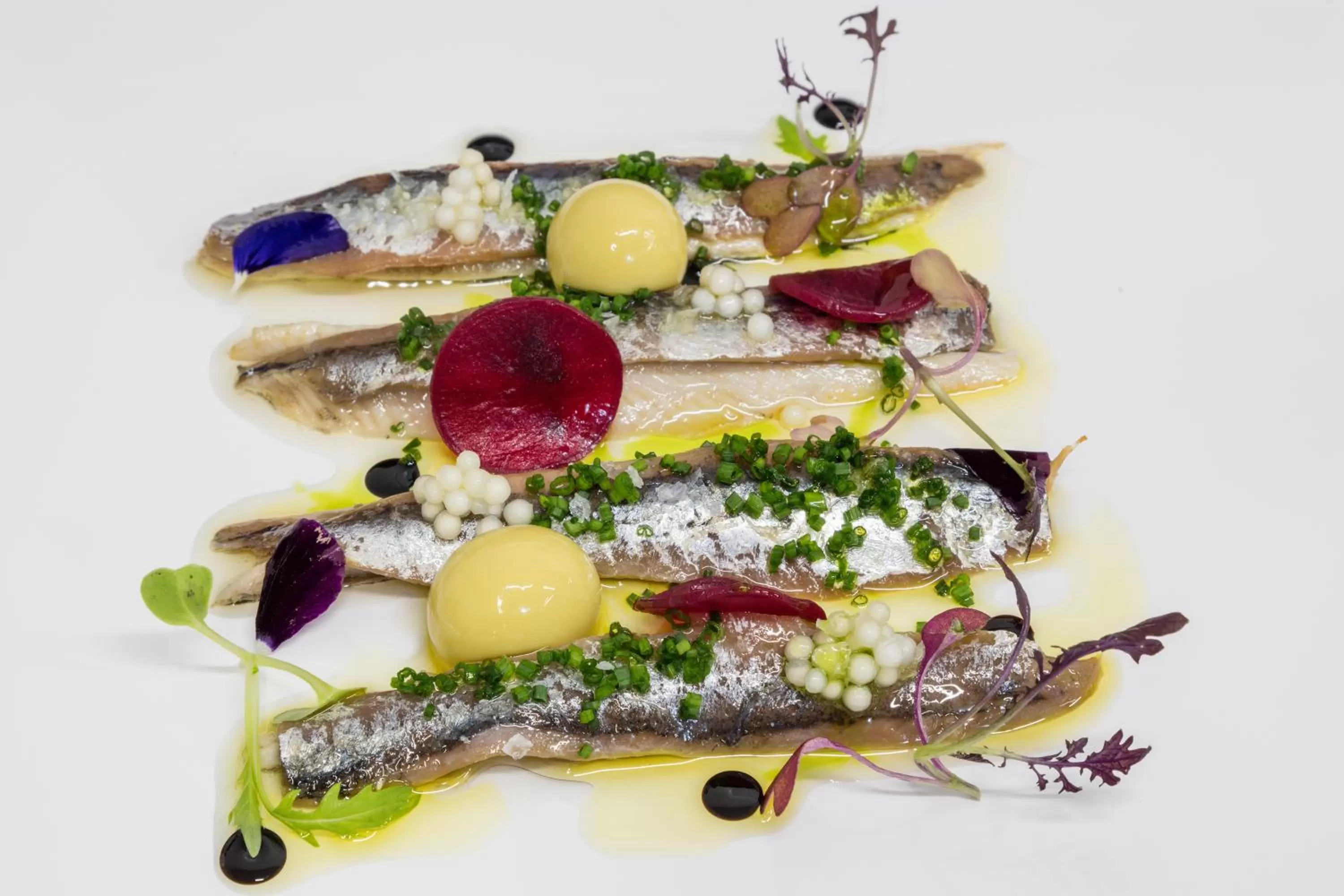 Food close-up in Acta Voraport