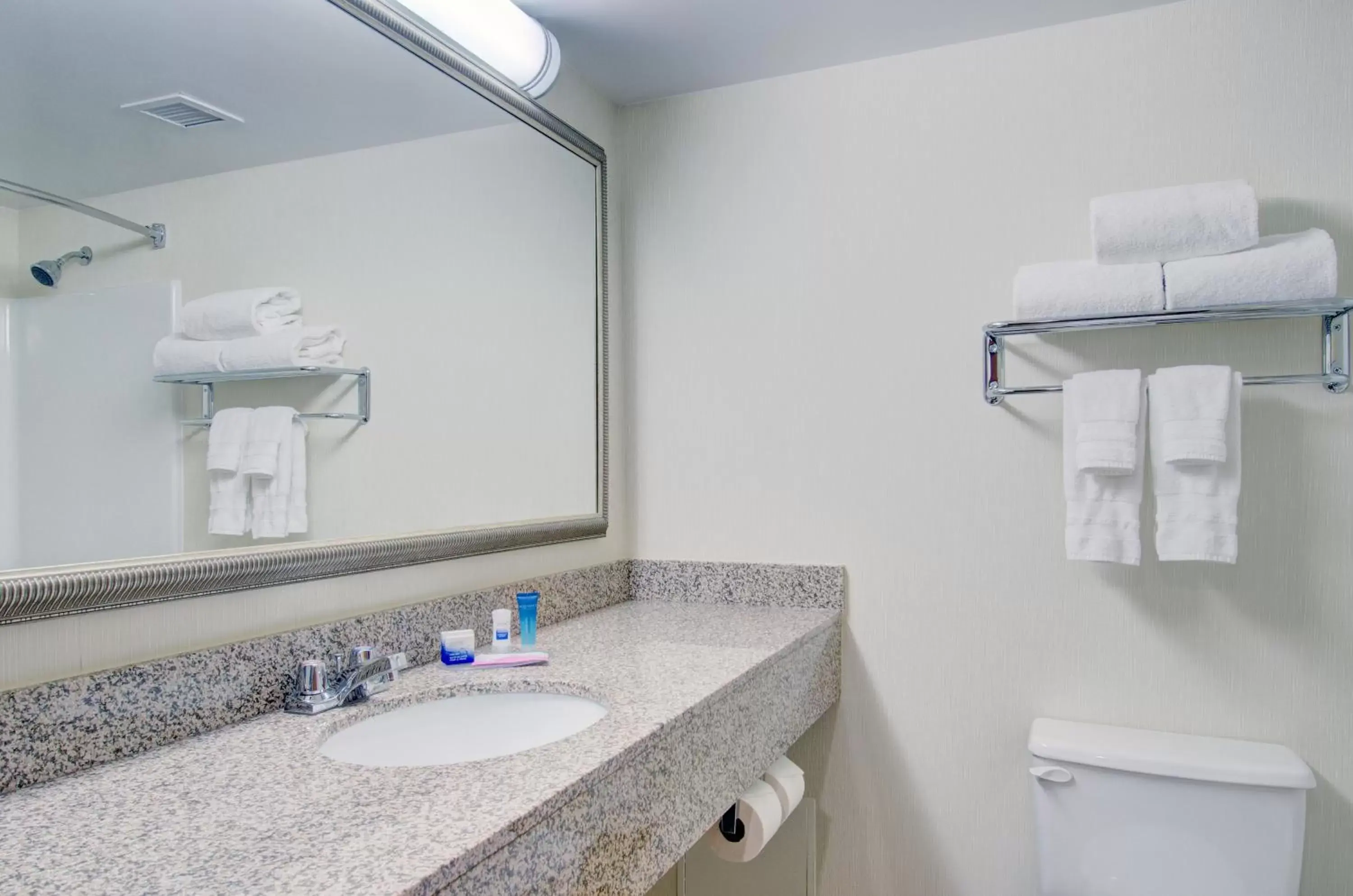 Bathroom in Best Western Royal Plaza Hotel and Trade Center