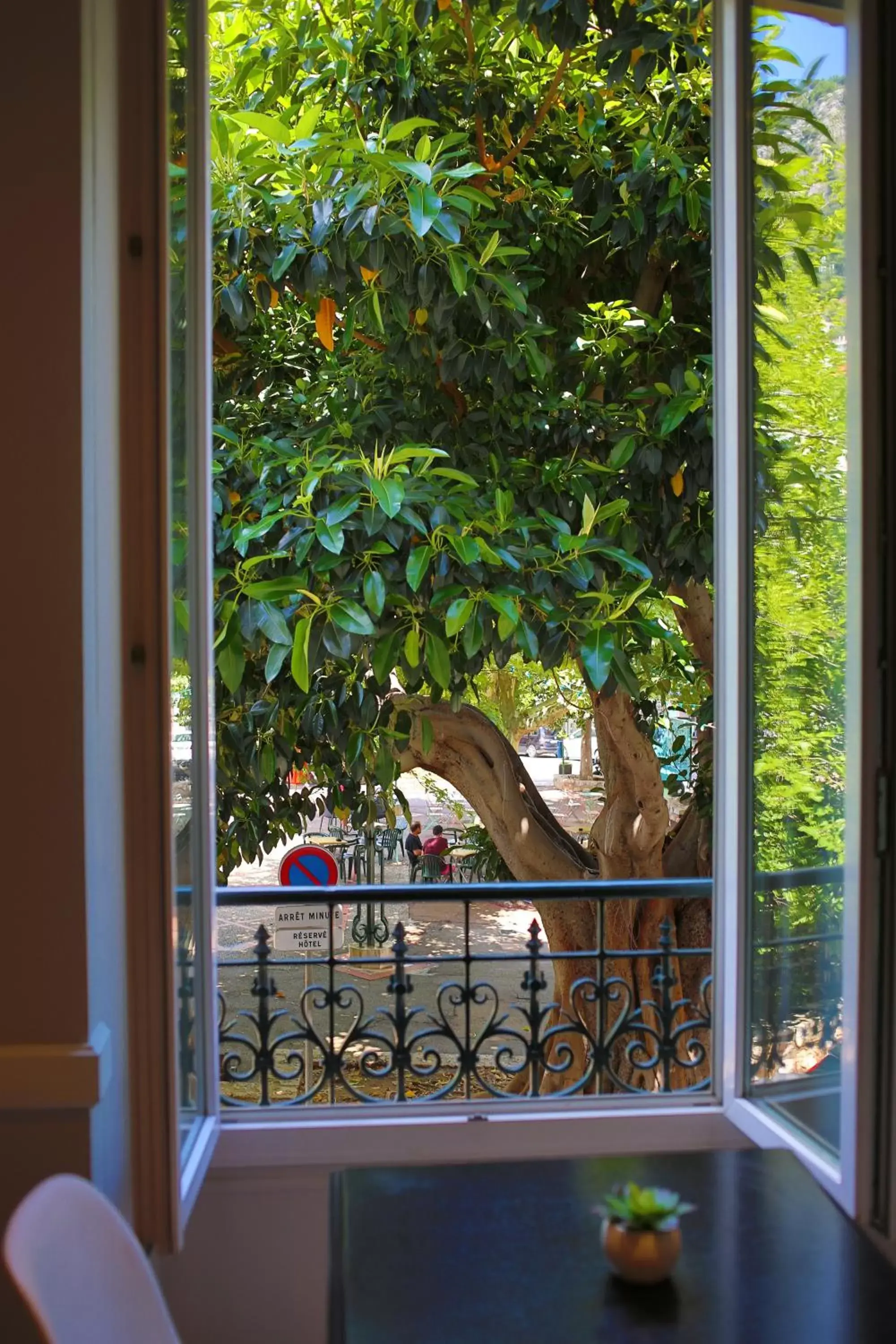 Garden view in Hotel Select