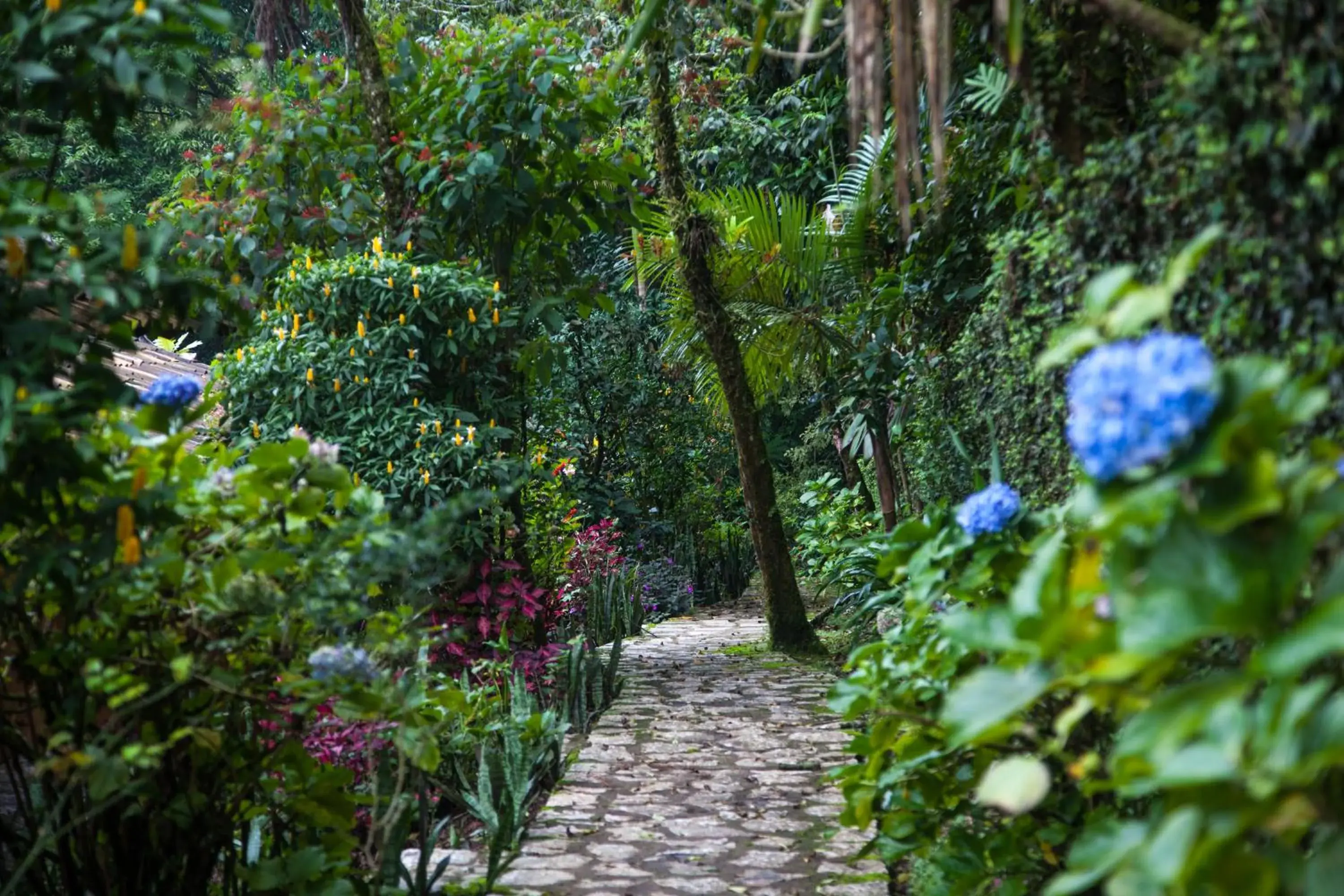 Garden in Hotel Taselotzin