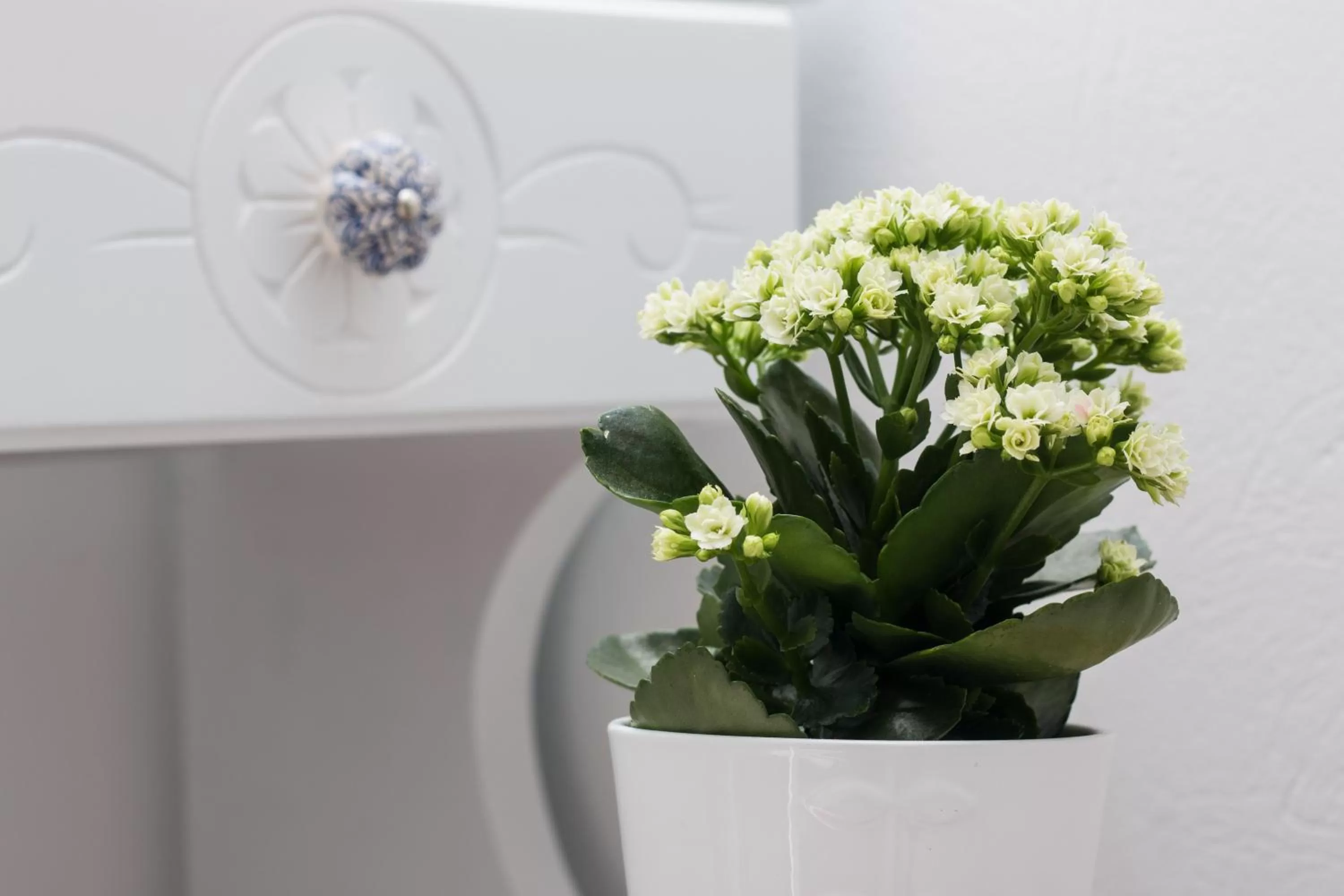 Property building in Ktima Bianco