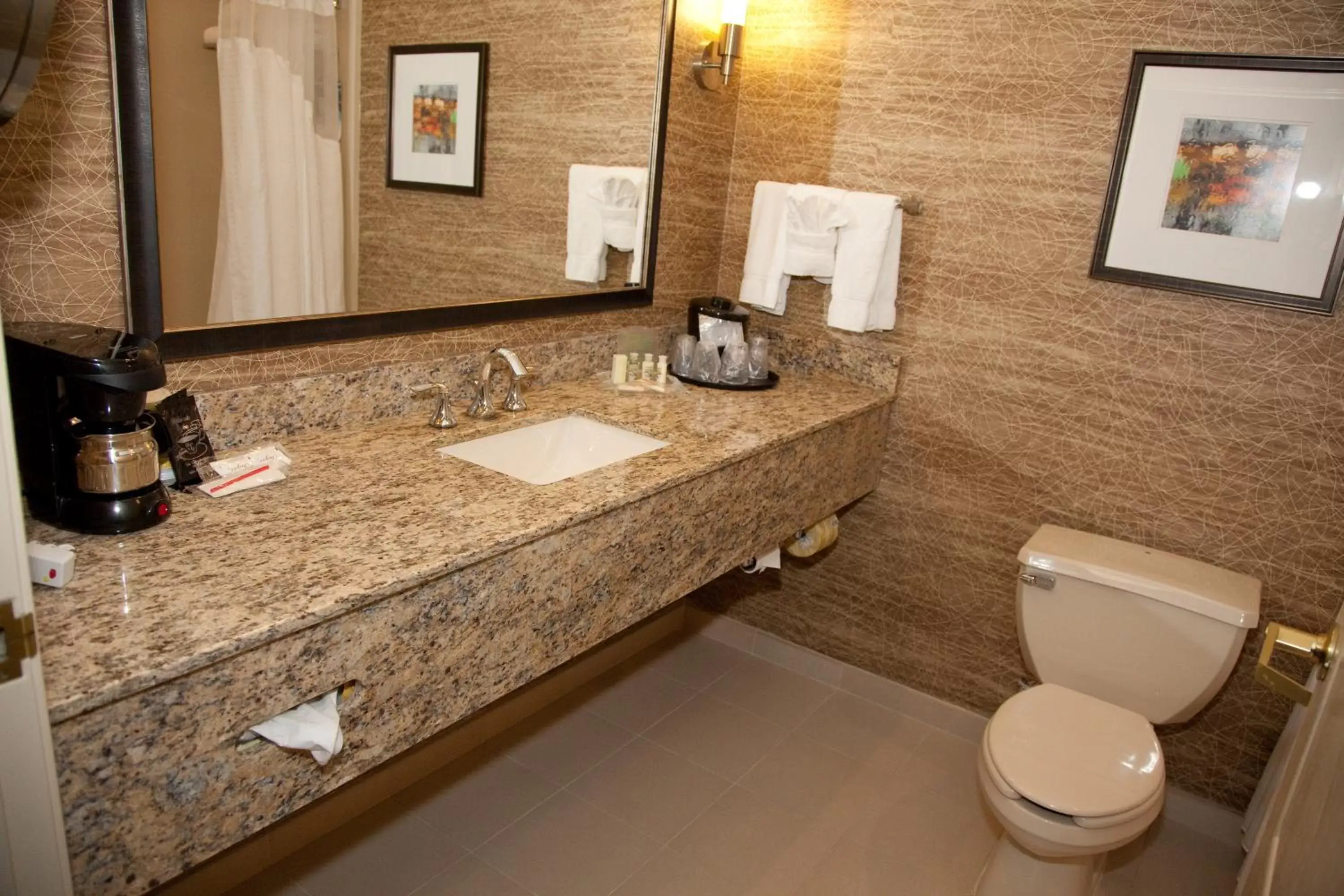 Photo of the whole room, Bathroom in Holiday Inn Hotel & Suites Chicago Northwest - Elgin, an IHG Hotel