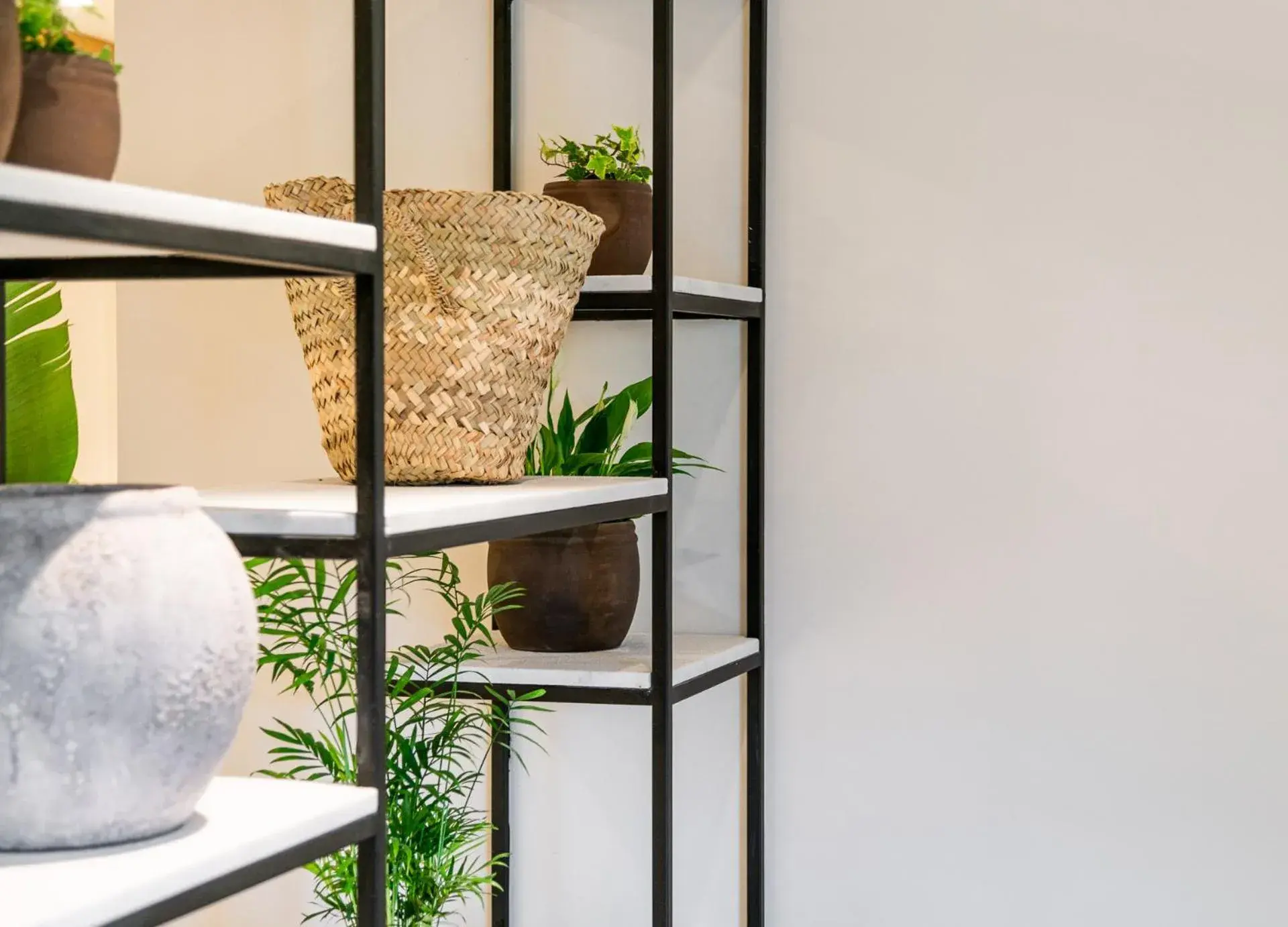 Lobby or reception in Hotel Eden Nord Soller Lobby or reception in Hotel Eden Nord Soller