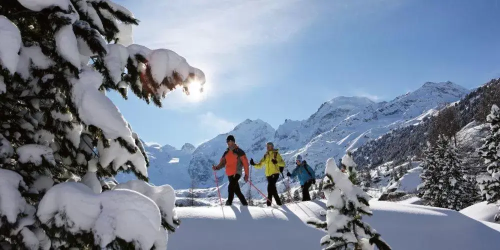 Natural landscape, Skiing in Hotel Allegra