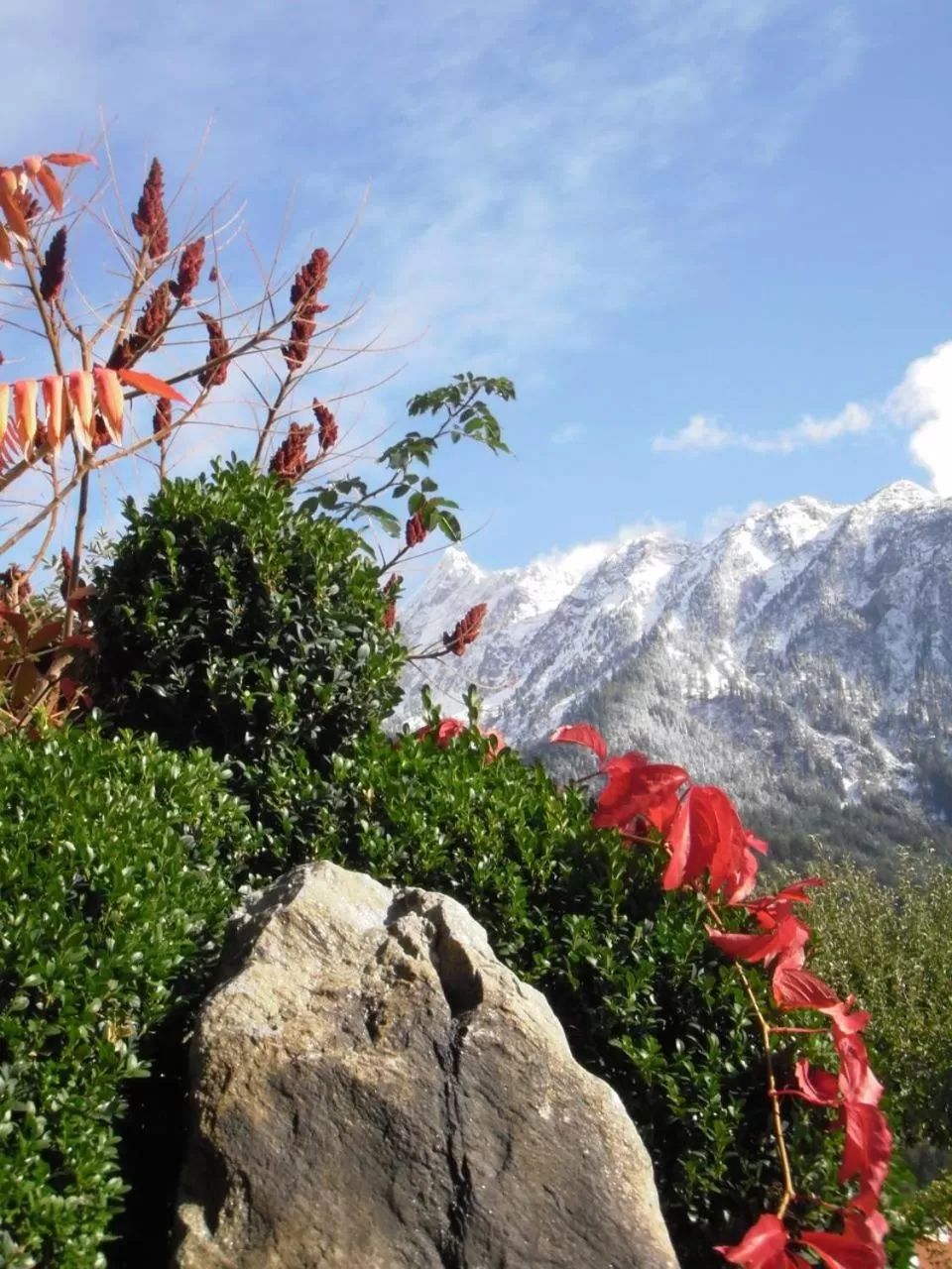 View (from property/room) in Gasthof zum Stern