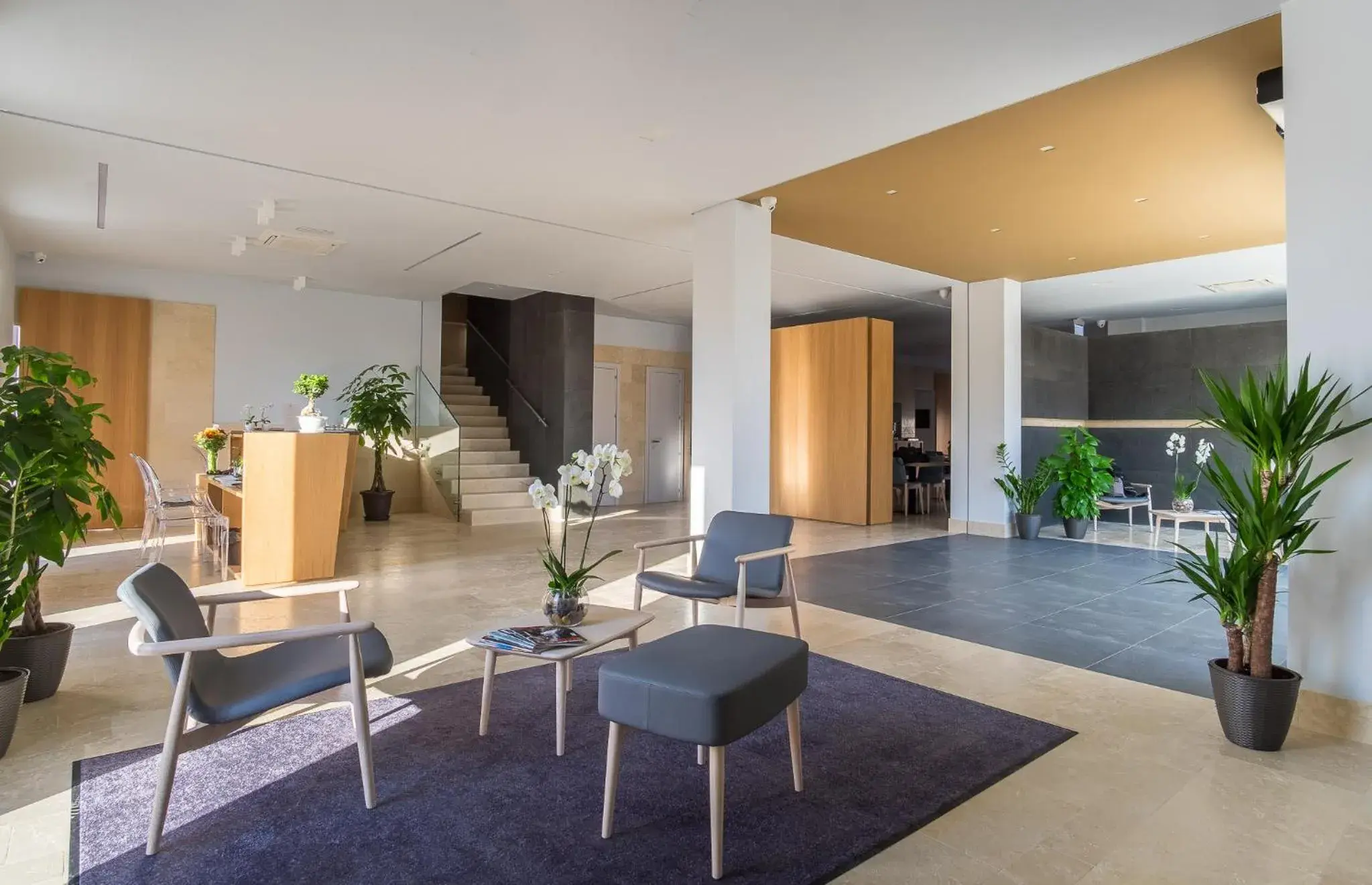 Lobby or reception in Netum Hotel Lobby or reception in Netum Hotel